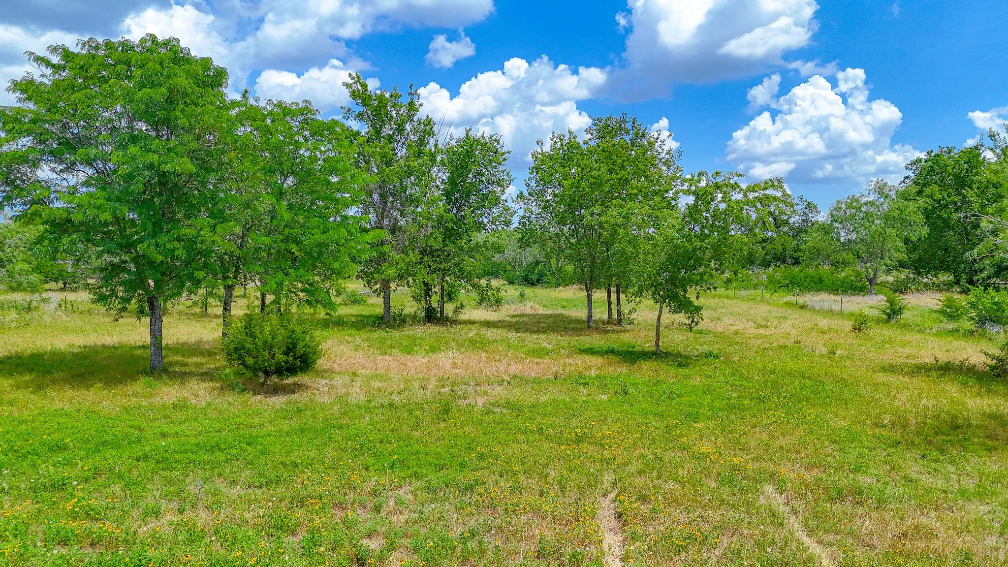 Unimproved Land For Sale in Navarro County , Lot 123 Palmito Ranch Road, Corsicana, Texas 75110, 0, 0, Garage spaces, 0 Sqft, built in 0, mls#21281501, Real Estate Agent in Corsicana, Homes For Sale in Navarro county, Homes For Sale in Corsicana, Realtor in Corsicana Texas, Real Estate Brokerage Independent Realty Texas, Luminita Cordes Realtor