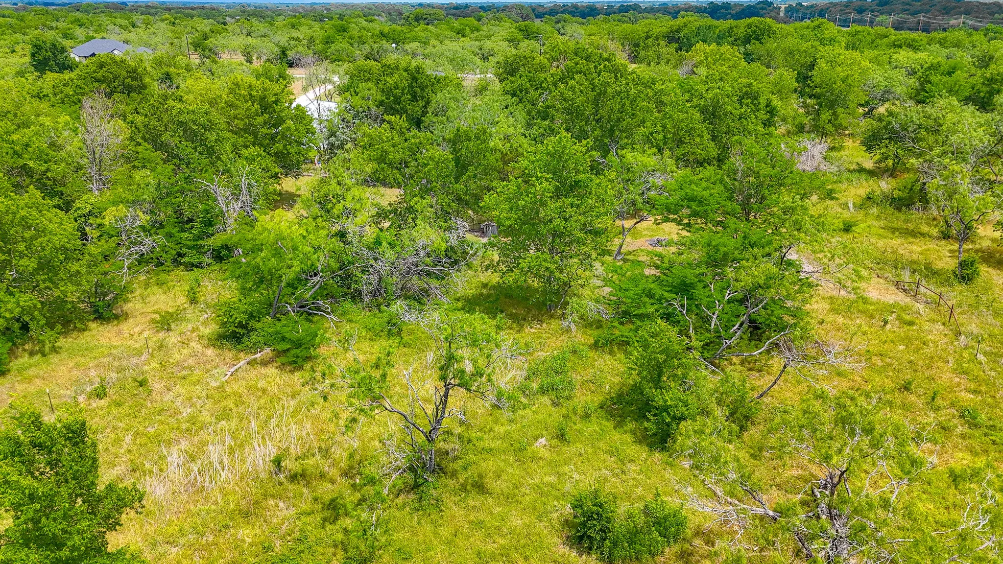 Unimproved Land For Sale in Navarro County , Lot 123 Palmito Ranch Road, Corsicana, Texas 75110, 0, 0, Garage spaces, 0 Sqft, built in 0, mls#21281501, Real Estate Agent in Corsicana, Homes For Sale in Navarro county, Homes For Sale in Corsicana, Realtor in Corsicana Texas, Real Estate Brokerage Independent Realty Texas, Luminita Cordes Realtor