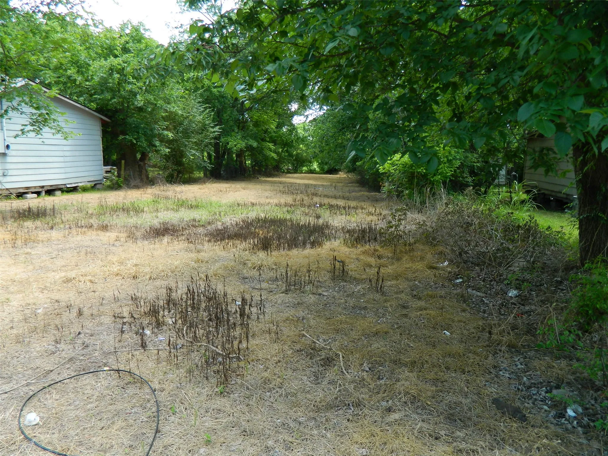 Lot as seen from the west side.