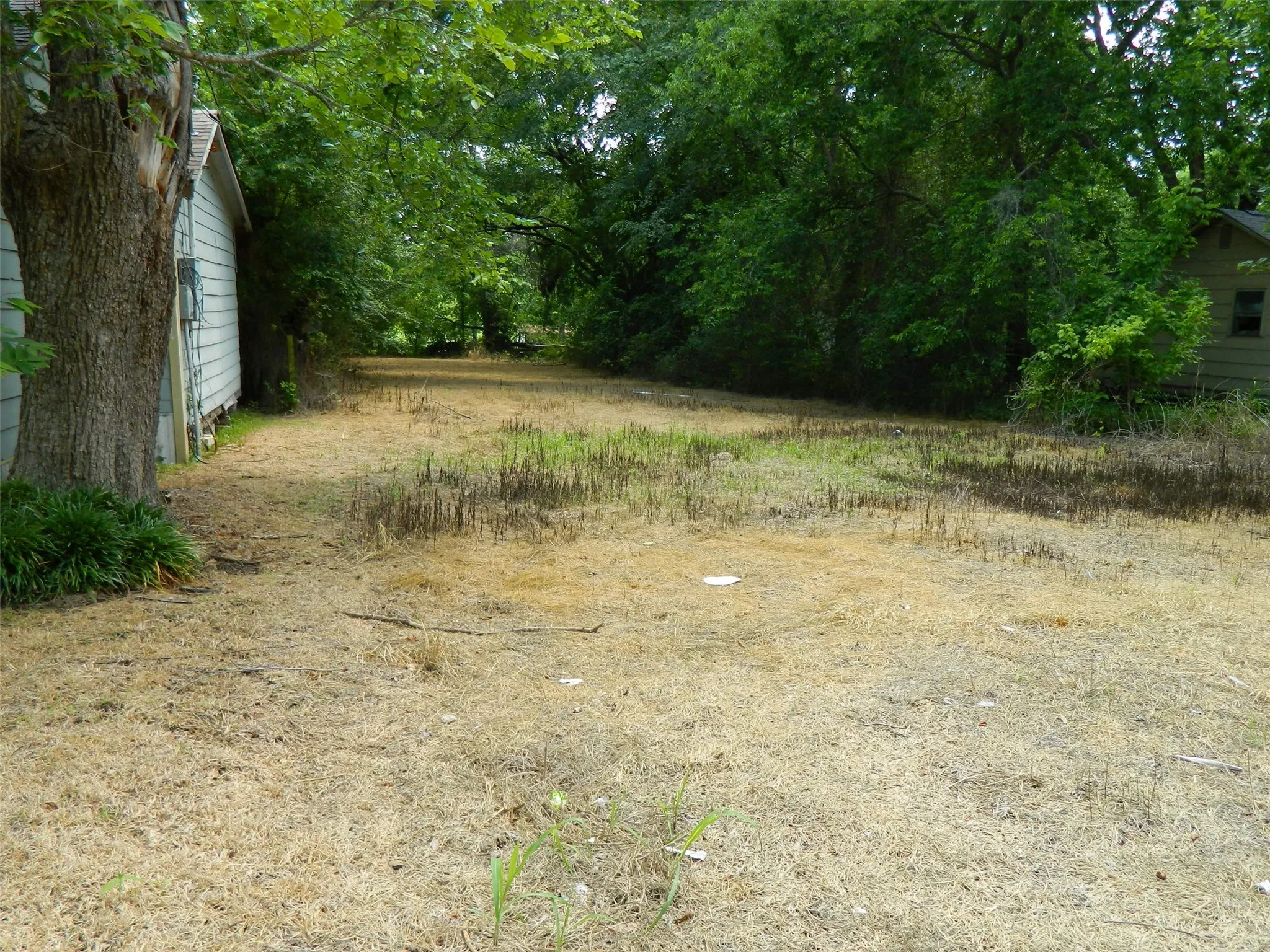 Lot as seen from the east side.