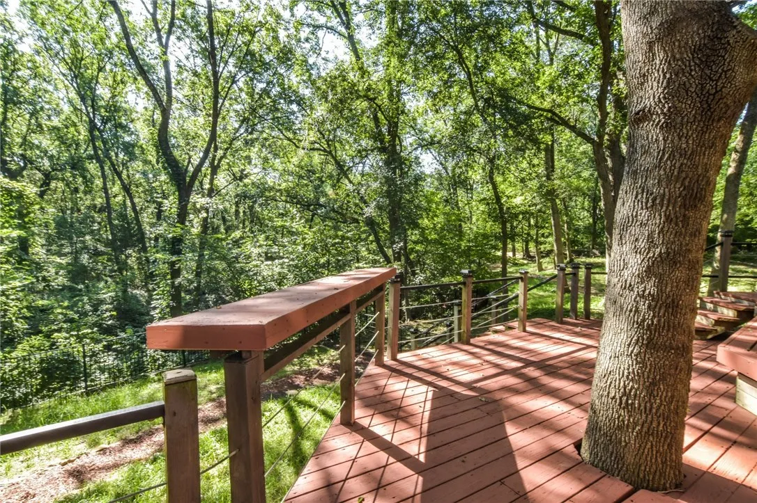 Backyard views