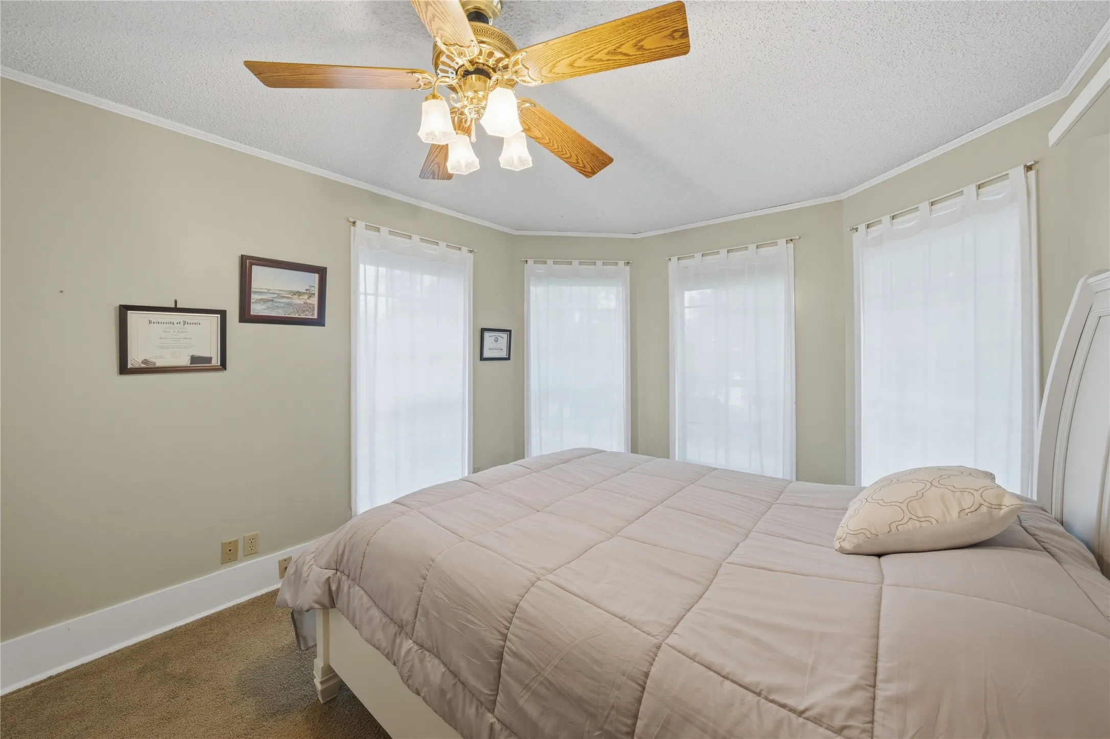 Bright room featuring a ceiling fan with light fixture, multiple windows, and crown molding