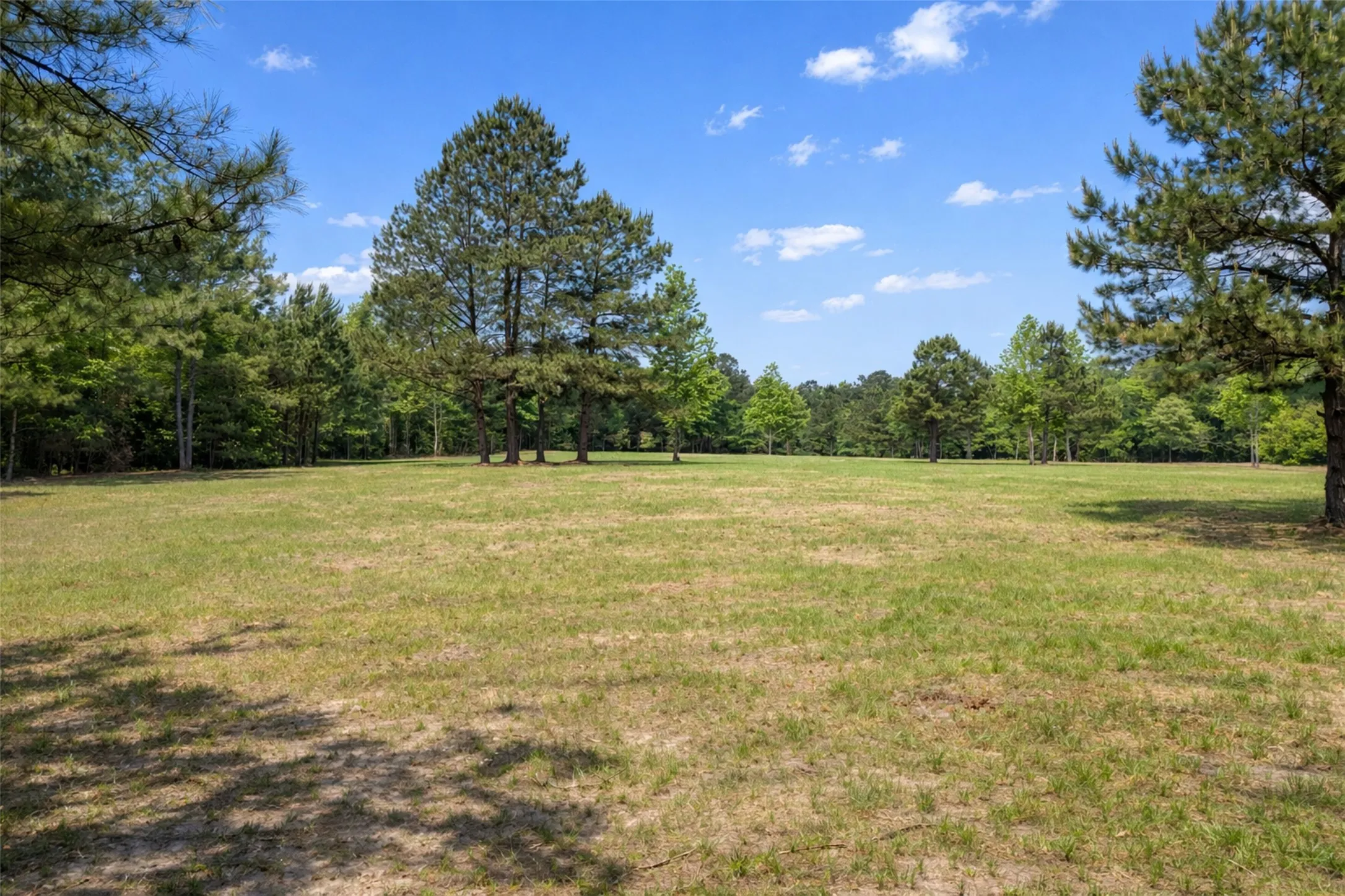 Unimproved Land For Sale in Smith County , 4552 Van Highway, Tyler, Texas 75704, 0, 0, Garage spaces, 0 Sqft, built in 0, Price $1,079,800, mls#21271917, Real Estate Agent in Tyler, Homes For Sale in Smith county, Homes For Sale in Tyler, Realtor in Tyler Texas, Real Estate Brokerage Independent Realty Texas, Luminita Cordes Realtor