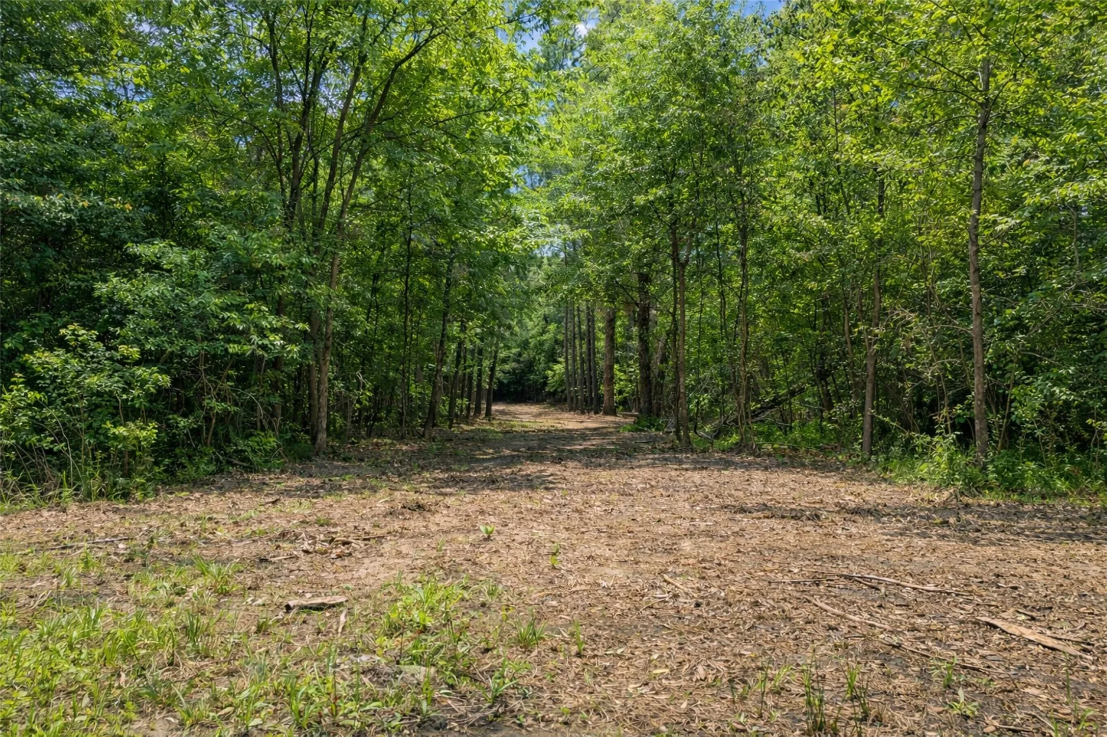 Unimproved Land For Sale in Smith County , 4552 Van Highway, Tyler, Texas 75704, 0, 0, Garage spaces, 0 Sqft, built in 0, Price $1,079,800, mls#21271917, Real Estate Agent in Tyler, Homes For Sale in Smith county, Homes For Sale in Tyler, Realtor in Tyler Texas, Real Estate Brokerage Independent Realty Texas, Luminita Cordes Realtor