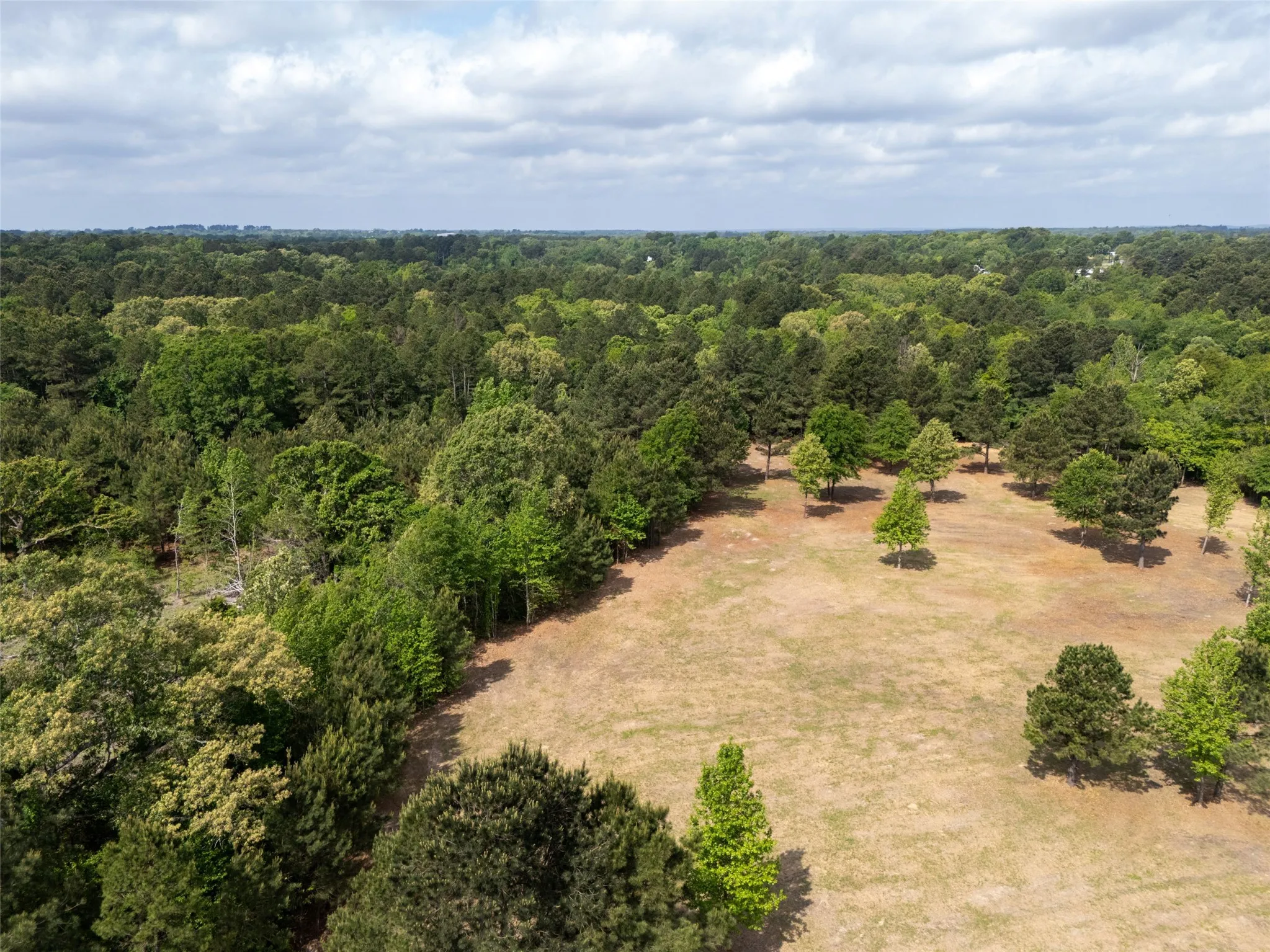 Unimproved Land For Sale in Smith County , 4552 Van Highway, Tyler, Texas 75704, 0, 0, Garage spaces, 0 Sqft, built in 0, Price $1,079,800, mls#21271917, Real Estate Agent in Tyler, Homes For Sale in Smith county, Homes For Sale in Tyler, Realtor in Tyler Texas, Real Estate Brokerage Independent Realty Texas, Luminita Cordes Realtor