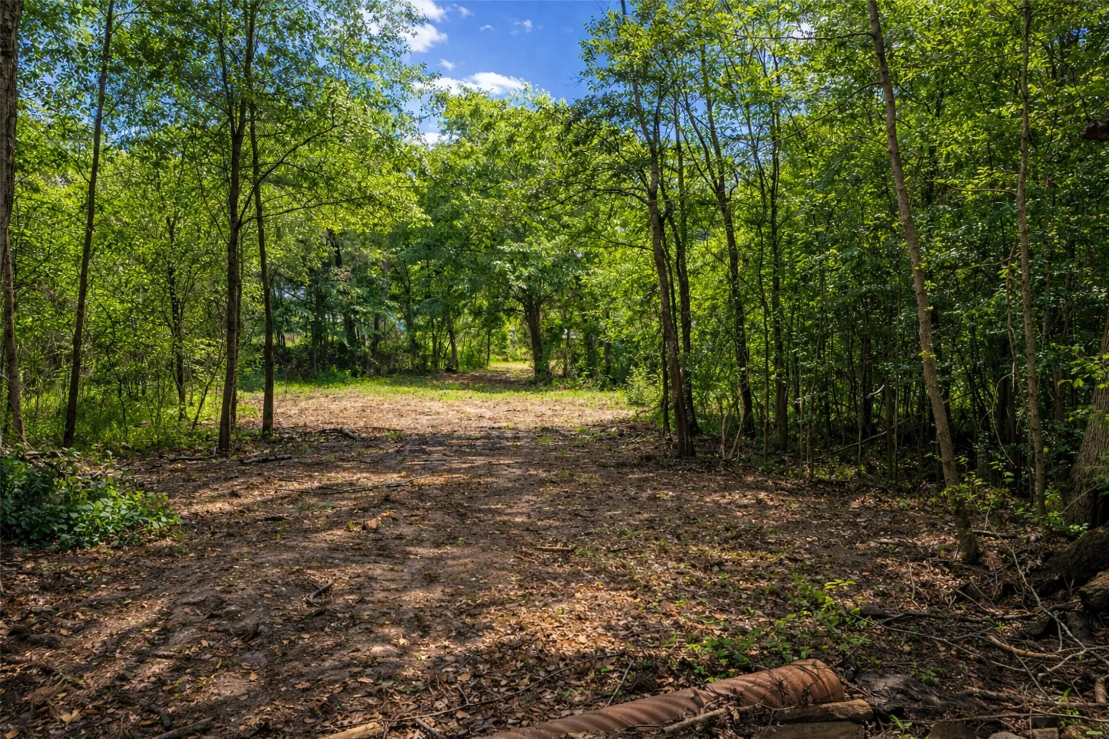 Unimproved Land For Sale in Smith County , 4552 Van Highway, Tyler, Texas 75704, 0, 0, Garage spaces, 0 Sqft, built in 0, Price $1,079,800, mls#21271917, Real Estate Agent in Tyler, Homes For Sale in Smith county, Homes For Sale in Tyler, Realtor in Tyler Texas, Real Estate Brokerage Independent Realty Texas, Luminita Cordes Realtor