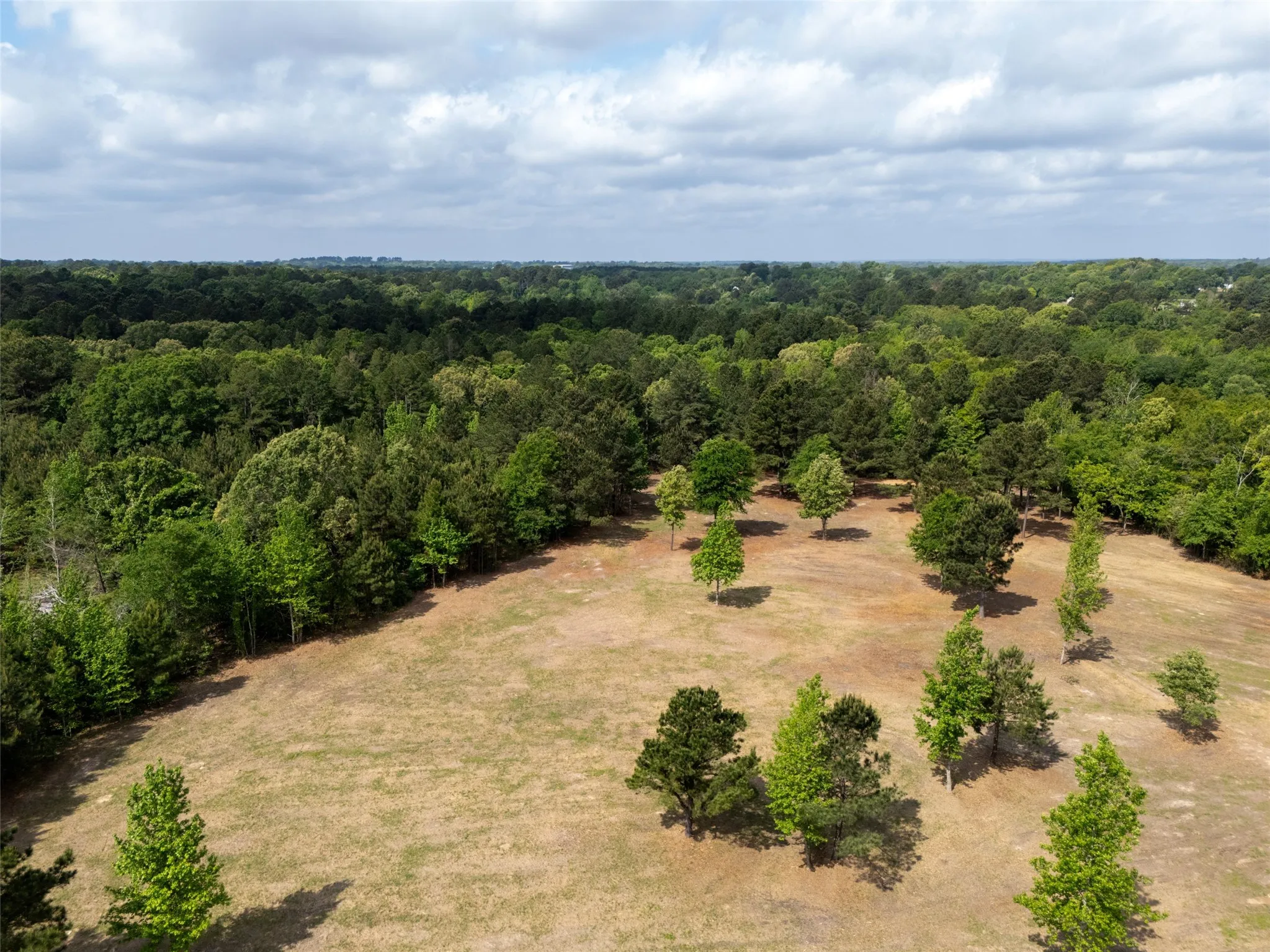 Unimproved Land For Sale in Smith County , 4552 Van Highway, Tyler, Texas 75704, 0, 0, Garage spaces, 0 Sqft, built in 0, Price $1,079,800, mls#21271917, Real Estate Agent in Tyler, Homes For Sale in Smith county, Homes For Sale in Tyler, Realtor in Tyler Texas, Real Estate Brokerage Independent Realty Texas, Luminita Cordes Realtor