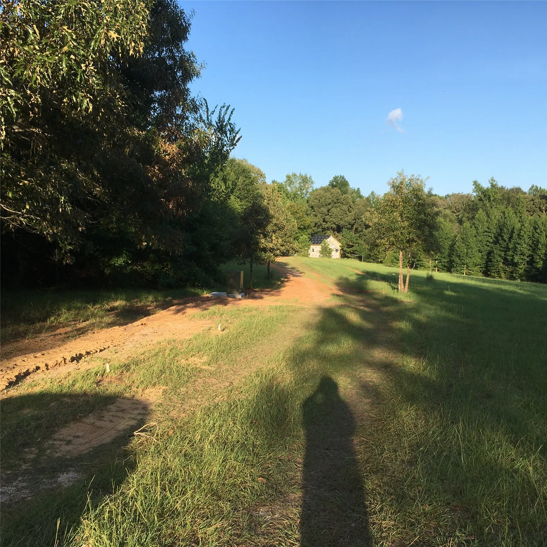 For Sale in Van Zandt County , 1140 CR 1712, Grand Saline, Texas 75140, 5 Bedroom, 4 Bathroom, Garage spaces, 0 Sqft, built in 2022, mls#21281691, Real Estate Agent in Grand Saline, Homes For Sale in Van Zandt county, Homes For Sale in Grand Saline, Realtor in Grand Saline Texas, Real Estate Brokerage Independent Realty Texas, Luminita Cordes Realtor