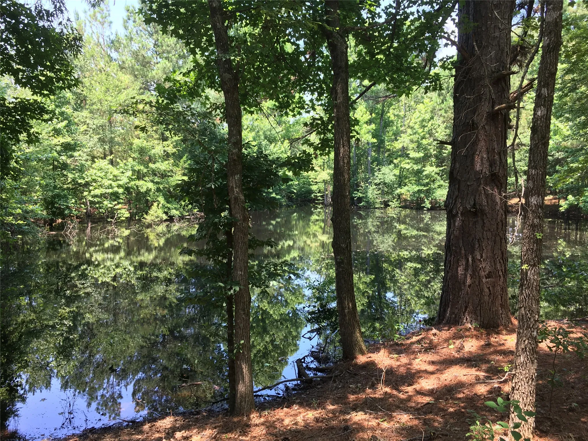 For Sale in Van Zandt County , 1140 CR 1712, Grand Saline, Texas 75140, 5 Bedroom, 4 Bathroom, Garage spaces, 0 Sqft, built in 2022, mls#21281691, Real Estate Agent in Grand Saline, Homes For Sale in Van Zandt county, Homes For Sale in Grand Saline, Realtor in Grand Saline Texas, Real Estate Brokerage Independent Realty Texas, Luminita Cordes Realtor