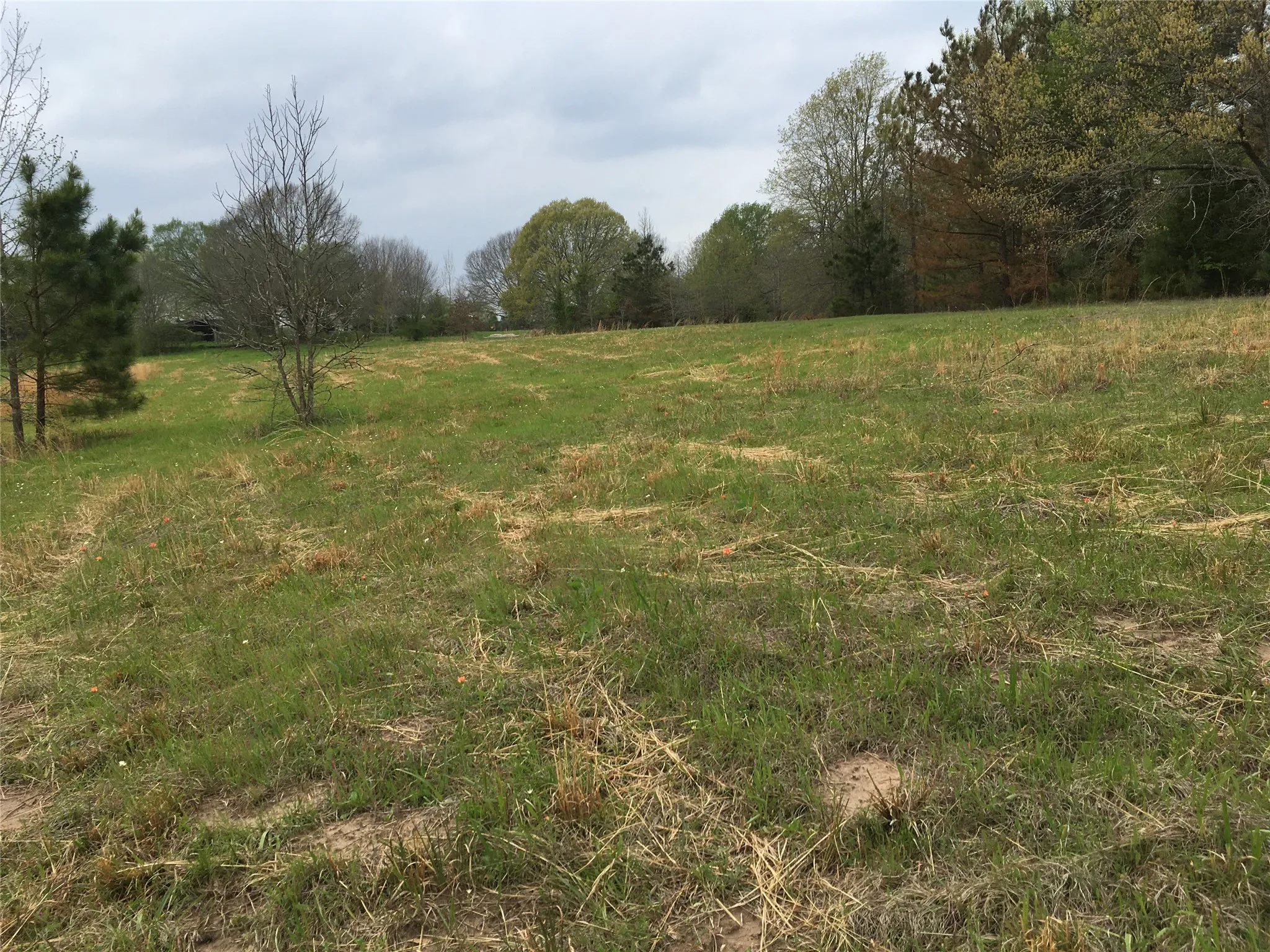 For Sale in Van Zandt County , 1140 CR 1712, Grand Saline, Texas 75140, 5 Bedroom, 4 Bathroom, Garage spaces, 0 Sqft, built in 2022, mls#21281691, Real Estate Agent in Grand Saline, Homes For Sale in Van Zandt county, Homes For Sale in Grand Saline, Realtor in Grand Saline Texas, Real Estate Brokerage Independent Realty Texas, Luminita Cordes Realtor