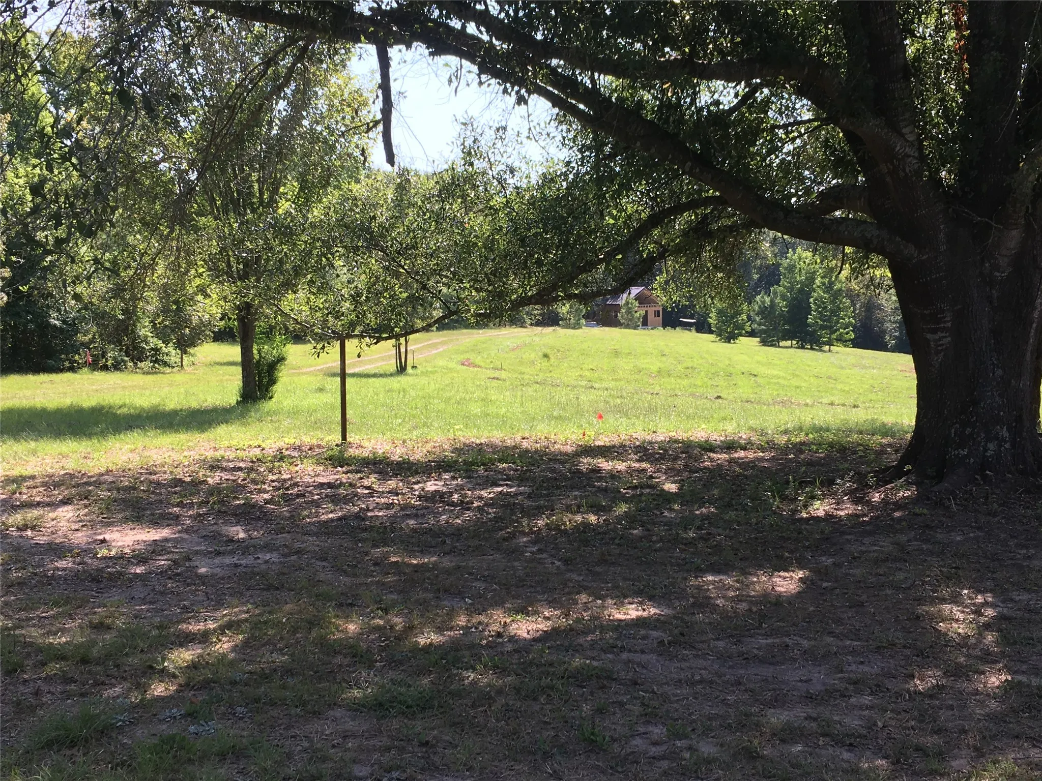 For Sale in Van Zandt County , 1140 CR 1712, Grand Saline, Texas 75140, 5 Bedroom, 4 Bathroom, Garage spaces, 0 Sqft, built in 2022, mls#21281691, Real Estate Agent in Grand Saline, Homes For Sale in Van Zandt county, Homes For Sale in Grand Saline, Realtor in Grand Saline Texas, Real Estate Brokerage Independent Realty Texas, Luminita Cordes Realtor