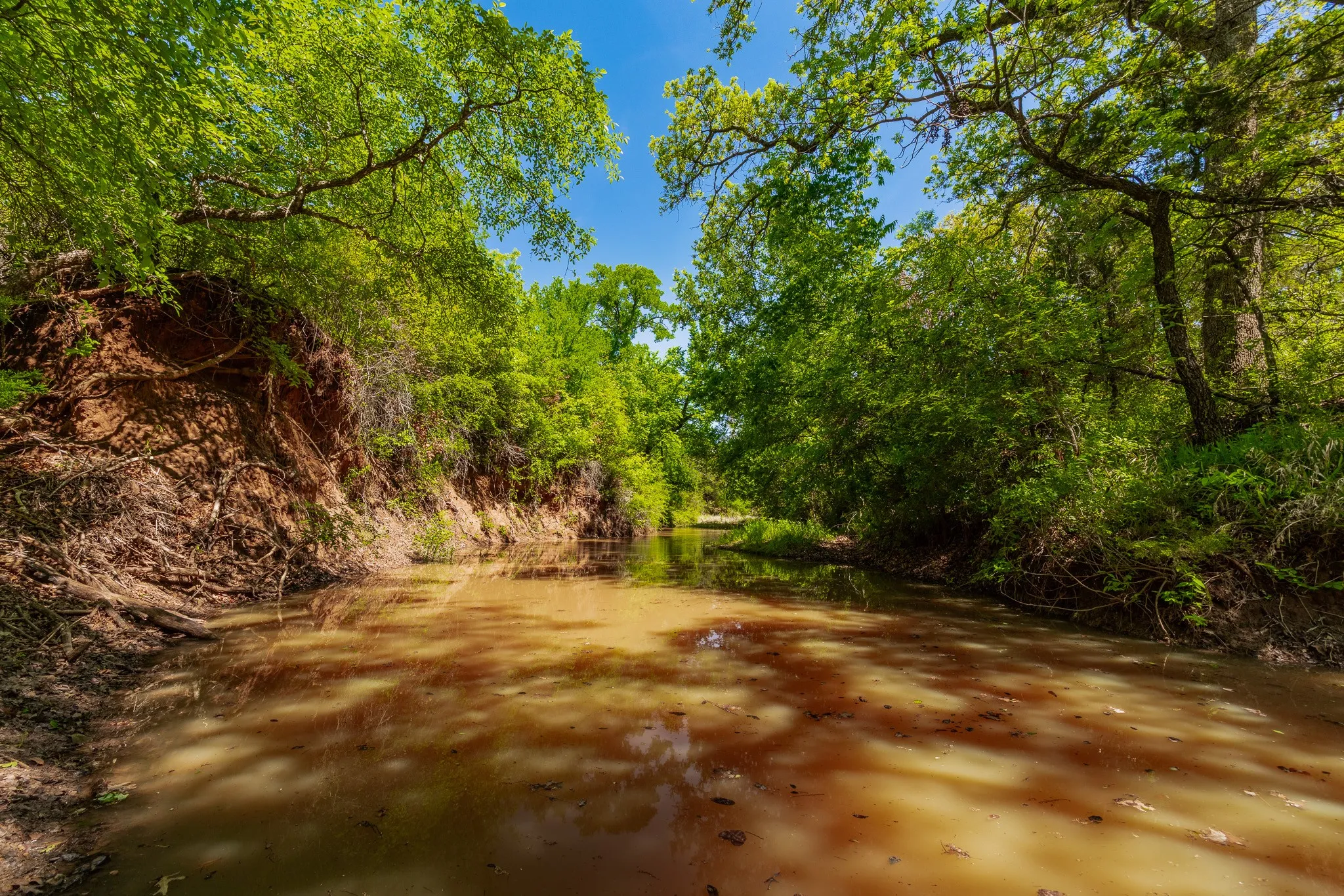Ranch For Sale in Coleman County , 551 COUNTY ROAD 121, Coleman, Texas 76834, 0, 0, Garage spaces, 0 Sqft, built in 0, mls#21281748, Real Estate Agent in Coleman, Homes For Sale in Coleman county, Homes For Sale in Coleman, Realtor in Coleman Texas, Real Estate Brokerage Independent Realty Texas, Luminita Cordes Realtor