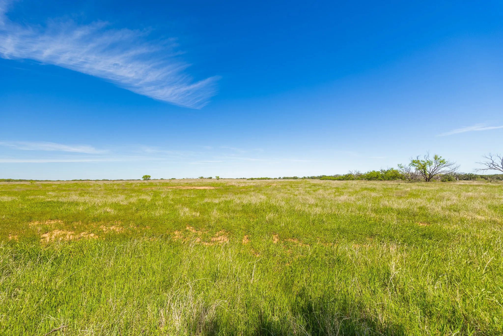 Ranch For Sale in Coleman County , 551 COUNTY ROAD 121, Coleman, Texas 76834, 0, 0, Garage spaces, 0 Sqft, built in 0, mls#21281748, Real Estate Agent in Coleman, Homes For Sale in Coleman county, Homes For Sale in Coleman, Realtor in Coleman Texas, Real Estate Brokerage Independent Realty Texas, Luminita Cordes Realtor