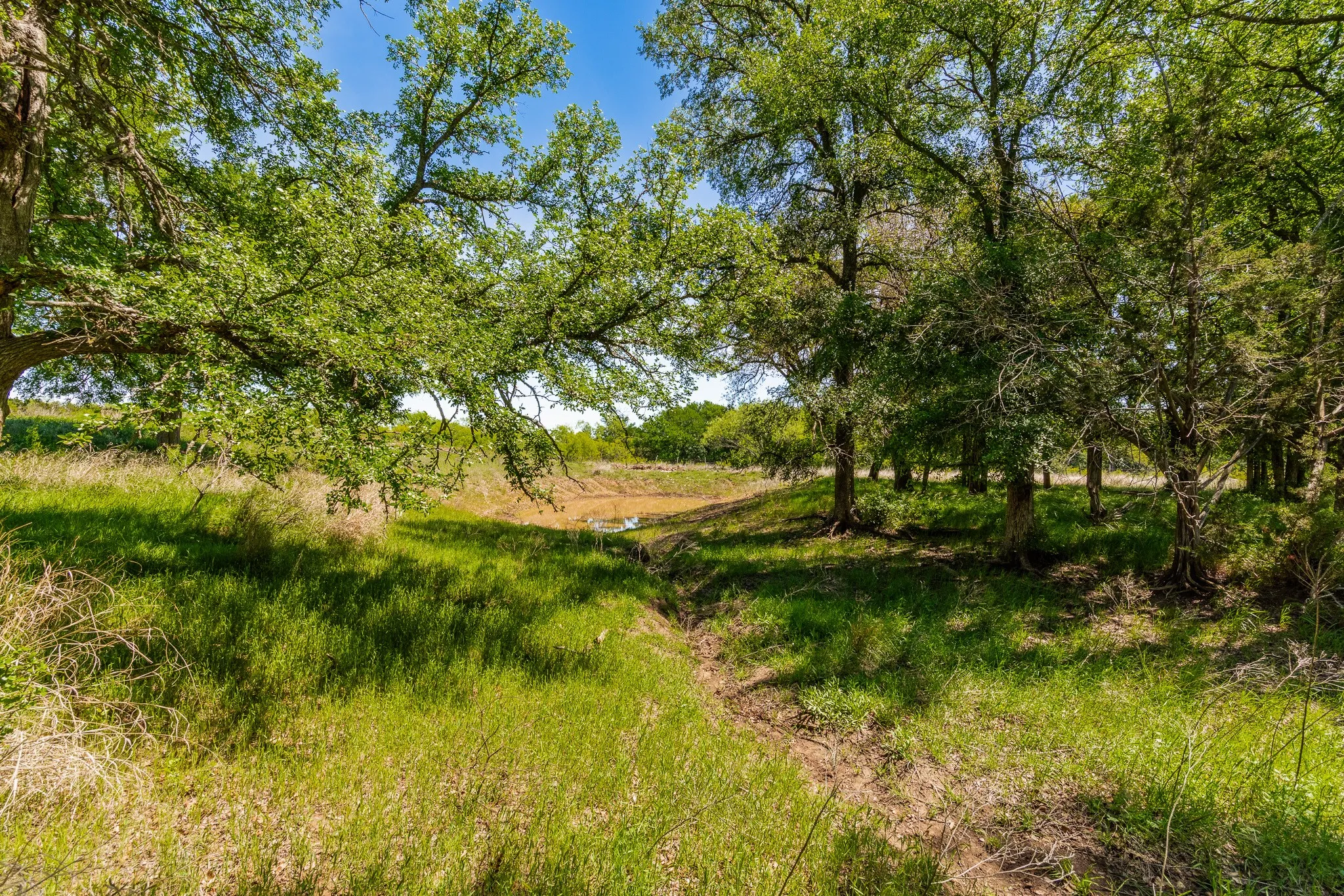 Ranch For Sale in Coleman County , 551 COUNTY ROAD 121, Coleman, Texas 76834, 0, 0, Garage spaces, 0 Sqft, built in 0, mls#21281748, Real Estate Agent in Coleman, Homes For Sale in Coleman county, Homes For Sale in Coleman, Realtor in Coleman Texas, Real Estate Brokerage Independent Realty Texas, Luminita Cordes Realtor