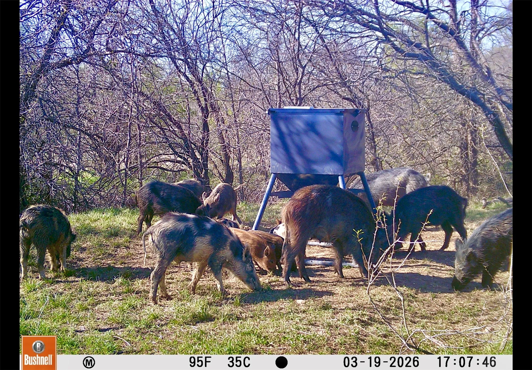 Ranch For Sale in Coleman County , 551 COUNTY ROAD 121, Coleman, Texas 76834, 0, 0, Garage spaces, 0 Sqft, built in 0, mls#21281748, Real Estate Agent in Coleman, Homes For Sale in Coleman county, Homes For Sale in Coleman, Realtor in Coleman Texas, Real Estate Brokerage Independent Realty Texas, Luminita Cordes Realtor