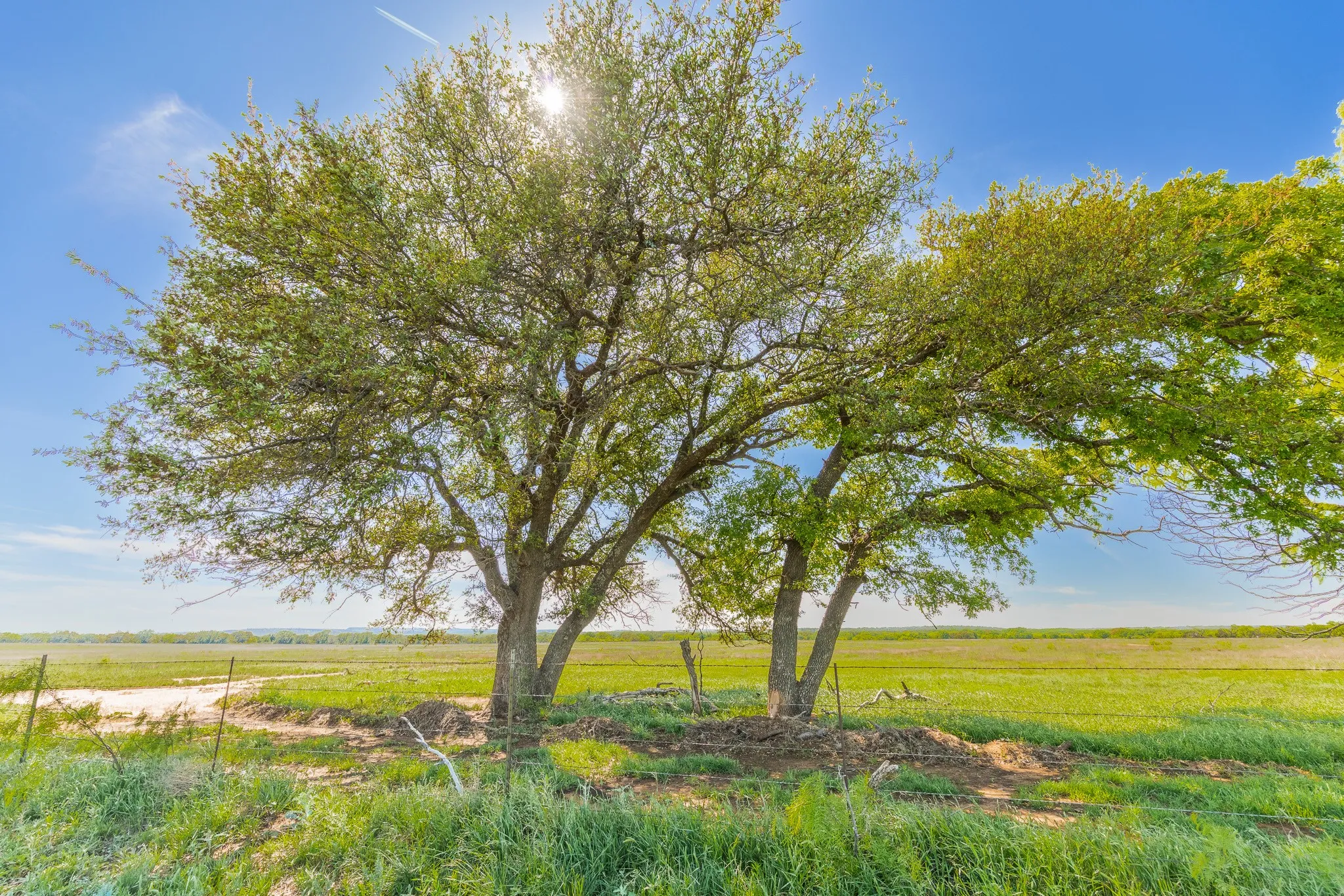 Ranch For Sale in Coleman County , 551 COUNTY ROAD 121, Coleman, Texas 76834, 0, 0, Garage spaces, 0 Sqft, built in 0, mls#21281748, Real Estate Agent in Coleman, Homes For Sale in Coleman county, Homes For Sale in Coleman, Realtor in Coleman Texas, Real Estate Brokerage Independent Realty Texas, Luminita Cordes Realtor