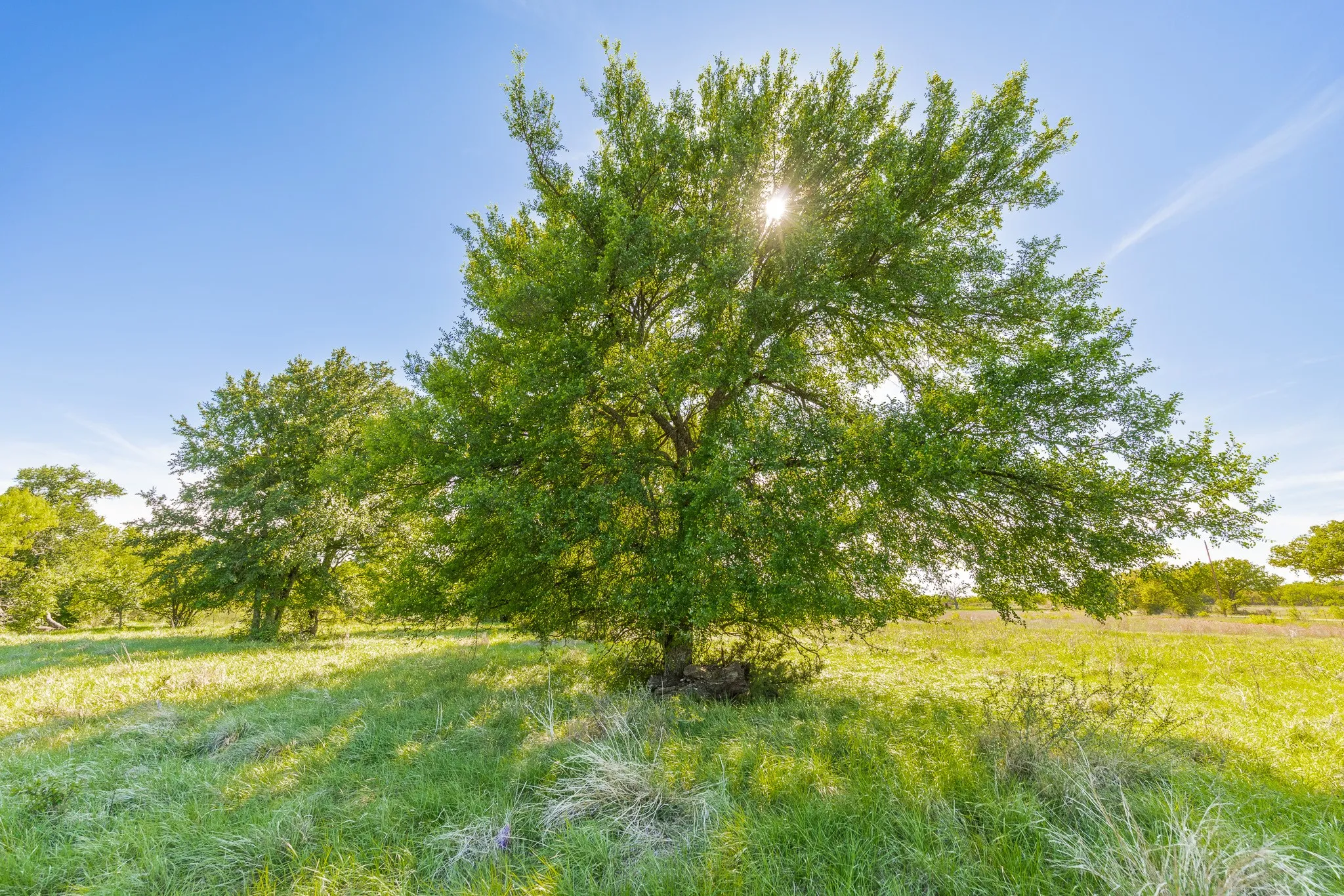 Ranch For Sale in Coleman County , 551 COUNTY ROAD 121, Coleman, Texas 76834, 0, 0, Garage spaces, 0 Sqft, built in 0, mls#21281748, Real Estate Agent in Coleman, Homes For Sale in Coleman county, Homes For Sale in Coleman, Realtor in Coleman Texas, Real Estate Brokerage Independent Realty Texas, Luminita Cordes Realtor