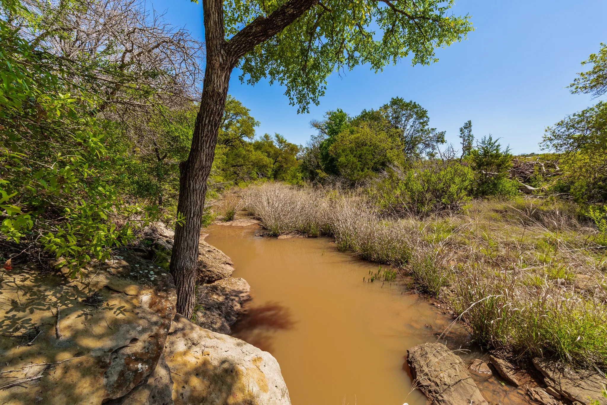 Ranch For Sale in Coleman County , 551 COUNTY ROAD 121, Coleman, Texas 76834, 0, 0, Garage spaces, 0 Sqft, built in 0, mls#21281748, Real Estate Agent in Coleman, Homes For Sale in Coleman county, Homes For Sale in Coleman, Realtor in Coleman Texas, Real Estate Brokerage Independent Realty Texas, Luminita Cordes Realtor