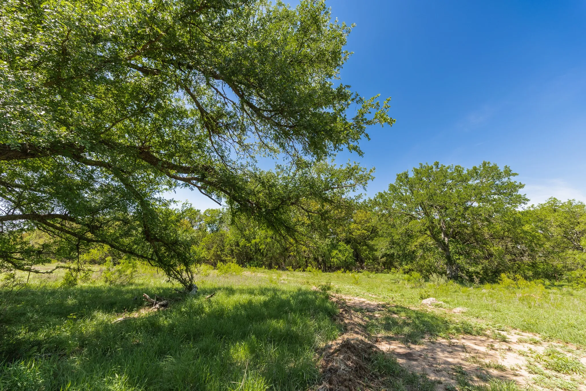 Ranch For Sale in Coleman County , 551 COUNTY ROAD 121, Coleman, Texas 76834, 0, 0, Garage spaces, 0 Sqft, built in 0, mls#21281748, Real Estate Agent in Coleman, Homes For Sale in Coleman county, Homes For Sale in Coleman, Realtor in Coleman Texas, Real Estate Brokerage Independent Realty Texas, Luminita Cordes Realtor