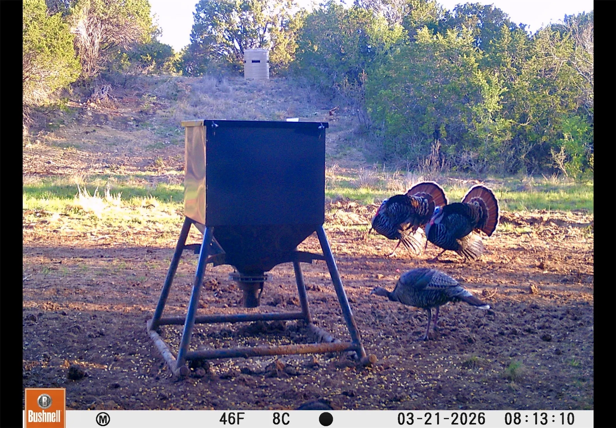 Ranch For Sale in Coleman County , 551 COUNTY ROAD 121, Coleman, Texas 76834, 0, 0, Garage spaces, 0 Sqft, built in 0, mls#21281748, Real Estate Agent in Coleman, Homes For Sale in Coleman county, Homes For Sale in Coleman, Realtor in Coleman Texas, Real Estate Brokerage Independent Realty Texas, Luminita Cordes Realtor