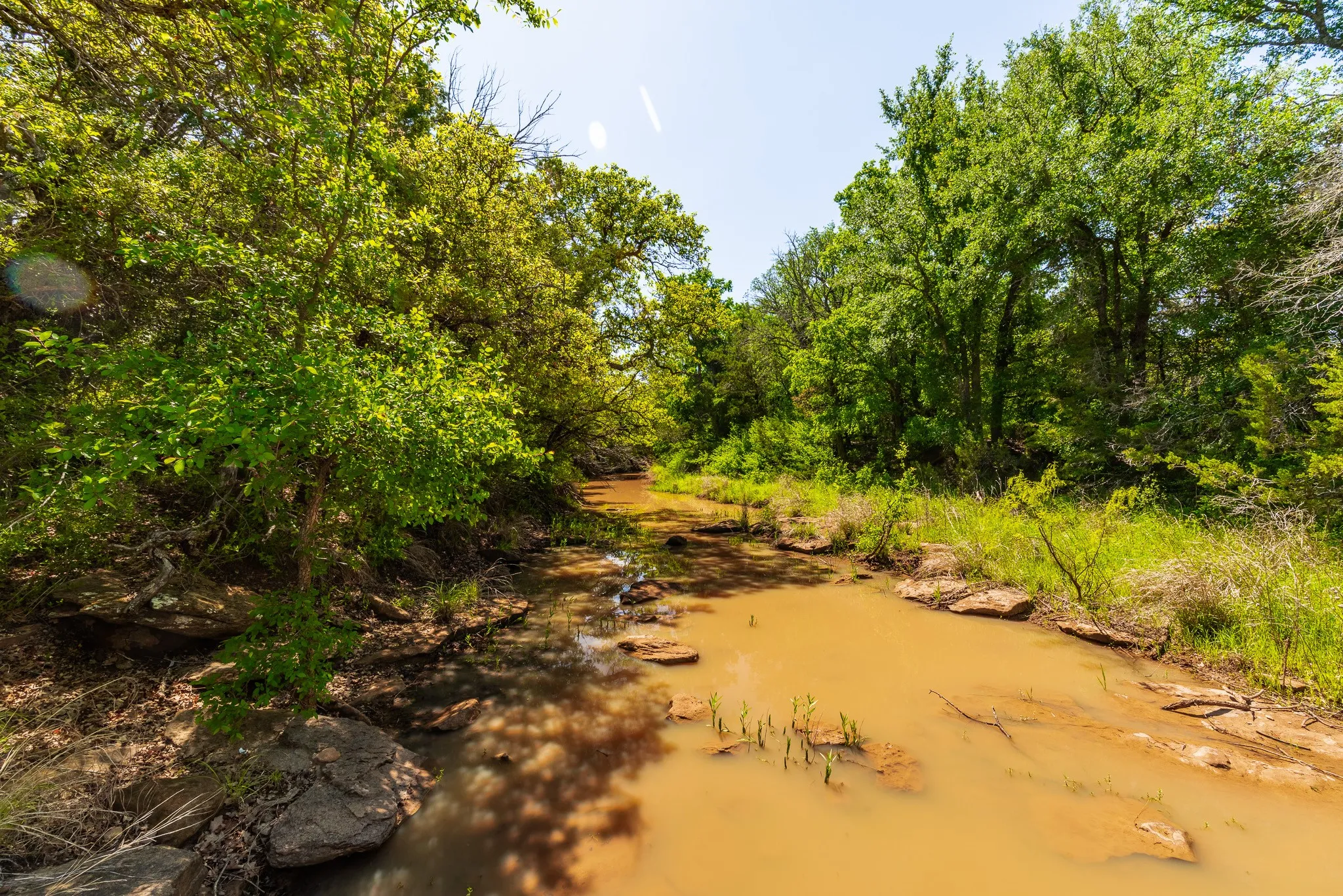 Ranch For Sale in Coleman County , 551 COUNTY ROAD 121, Coleman, Texas 76834, 0, 0, Garage spaces, 0 Sqft, built in 0, mls#21281748, Real Estate Agent in Coleman, Homes For Sale in Coleman county, Homes For Sale in Coleman, Realtor in Coleman Texas, Real Estate Brokerage Independent Realty Texas, Luminita Cordes Realtor