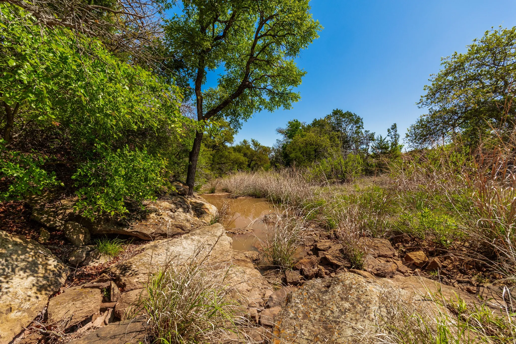 Ranch For Sale in Coleman County , 551 COUNTY ROAD 121, Coleman, Texas 76834, 0, 0, Garage spaces, 0 Sqft, built in 0, mls#21281748, Real Estate Agent in Coleman, Homes For Sale in Coleman county, Homes For Sale in Coleman, Realtor in Coleman Texas, Real Estate Brokerage Independent Realty Texas, Luminita Cordes Realtor