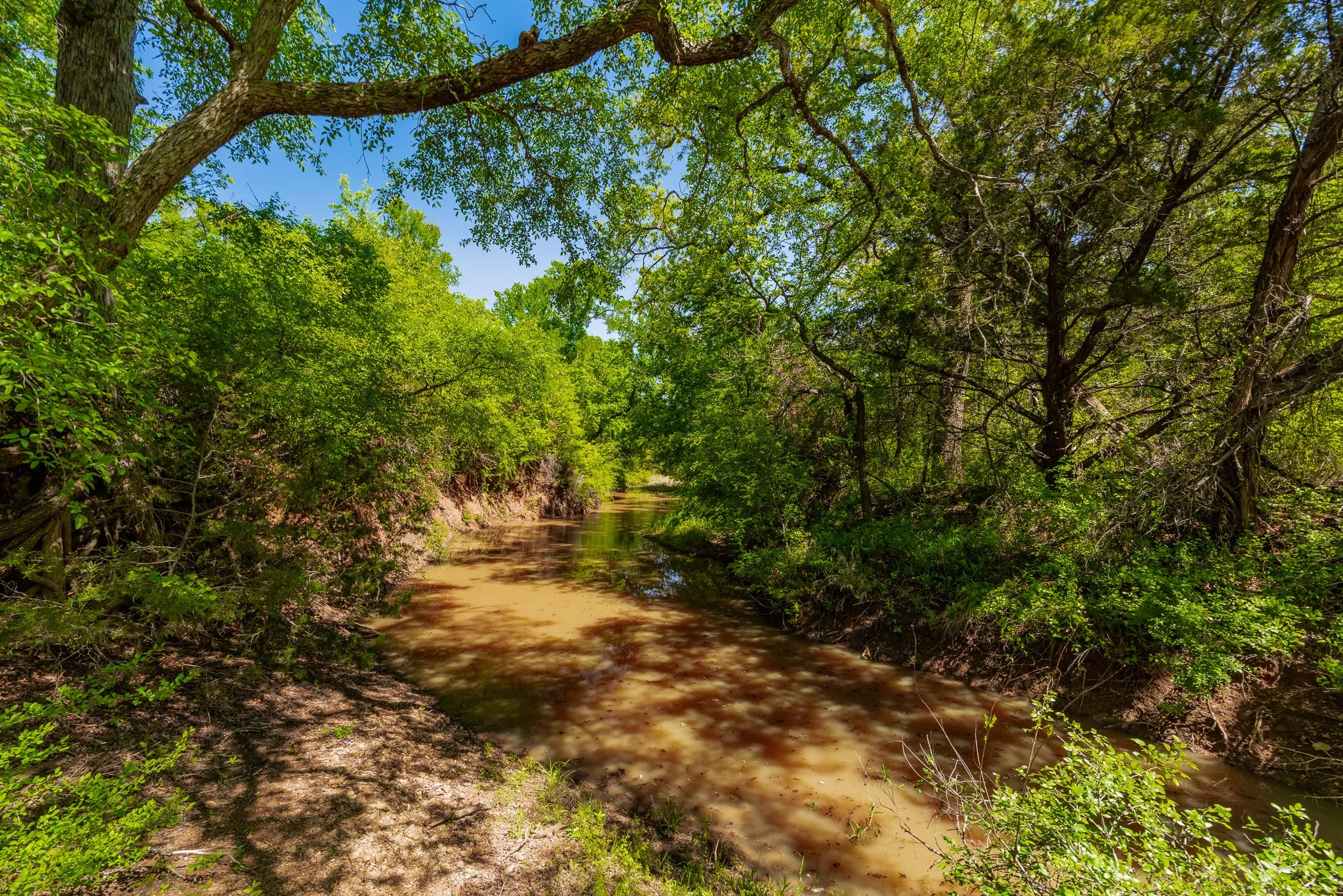 Ranch For Sale in Coleman County , 551 COUNTY ROAD 121, Coleman, Texas 76834, 0, 0, Garage spaces, 0 Sqft, built in 0, mls#21281748, Real Estate Agent in Coleman, Homes For Sale in Coleman county, Homes For Sale in Coleman, Realtor in Coleman Texas, Real Estate Brokerage Independent Realty Texas, Luminita Cordes Realtor