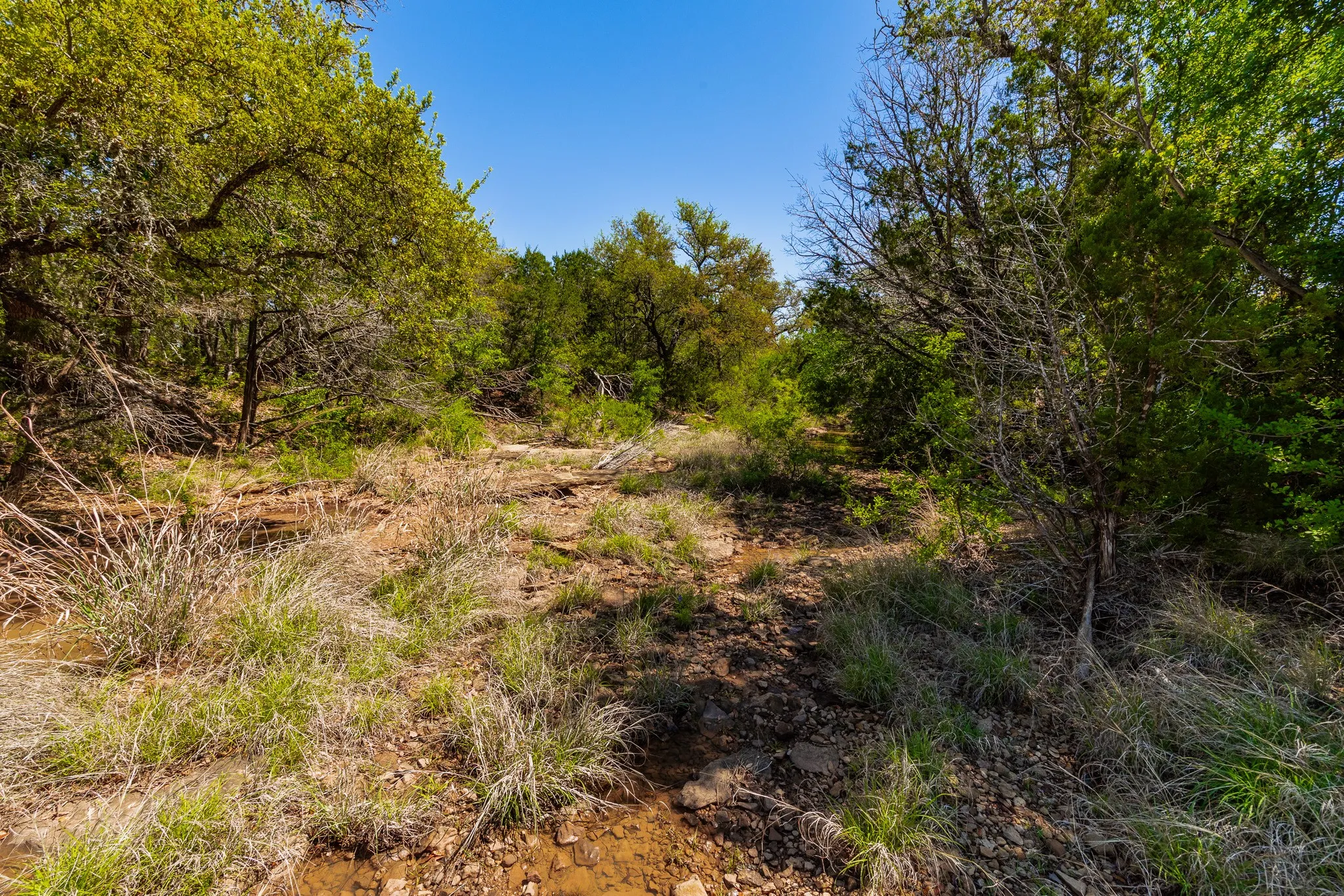 Ranch For Sale in Coleman County , 551 COUNTY ROAD 121, Coleman, Texas 76834, 0, 0, Garage spaces, 0 Sqft, built in 0, mls#21281748, Real Estate Agent in Coleman, Homes For Sale in Coleman county, Homes For Sale in Coleman, Realtor in Coleman Texas, Real Estate Brokerage Independent Realty Texas, Luminita Cordes Realtor