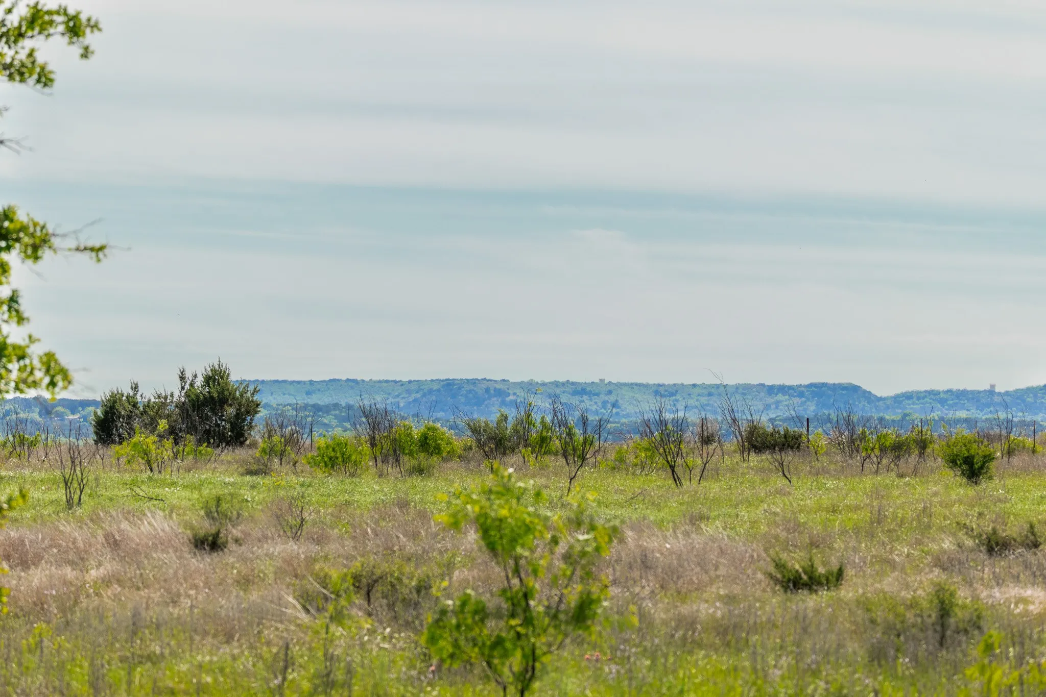 Ranch For Sale in Coleman County , 551 COUNTY ROAD 121, Coleman, Texas 76834, 0, 0, Garage spaces, 0 Sqft, built in 0, mls#21281748, Real Estate Agent in Coleman, Homes For Sale in Coleman county, Homes For Sale in Coleman, Realtor in Coleman Texas, Real Estate Brokerage Independent Realty Texas, Luminita Cordes Realtor