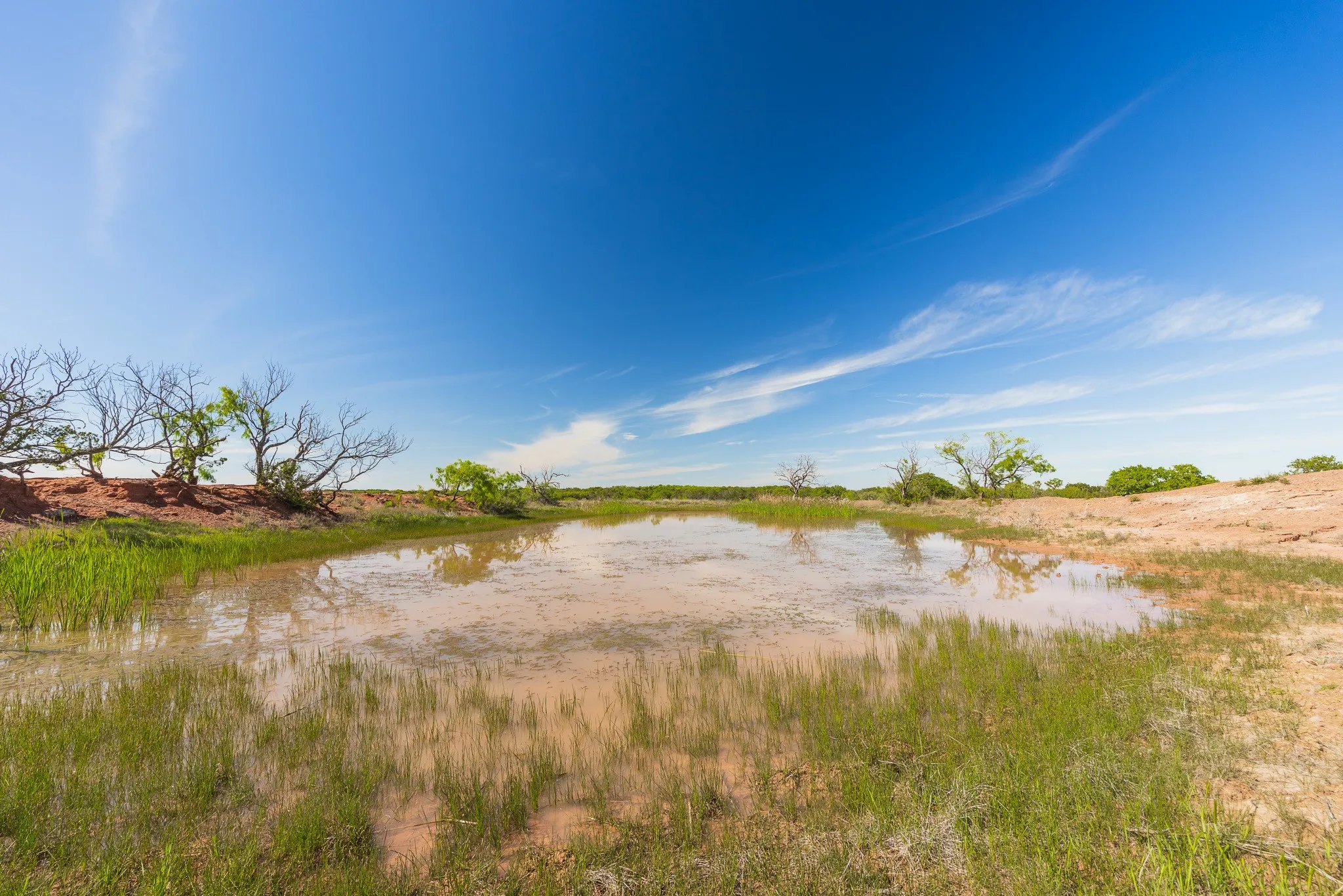 Ranch For Sale in Coleman County , 551 COUNTY ROAD 121, Coleman, Texas 76834, 0, 0, Garage spaces, 0 Sqft, built in 0, mls#21281748, Real Estate Agent in Coleman, Homes For Sale in Coleman county, Homes For Sale in Coleman, Realtor in Coleman Texas, Real Estate Brokerage Independent Realty Texas, Luminita Cordes Realtor