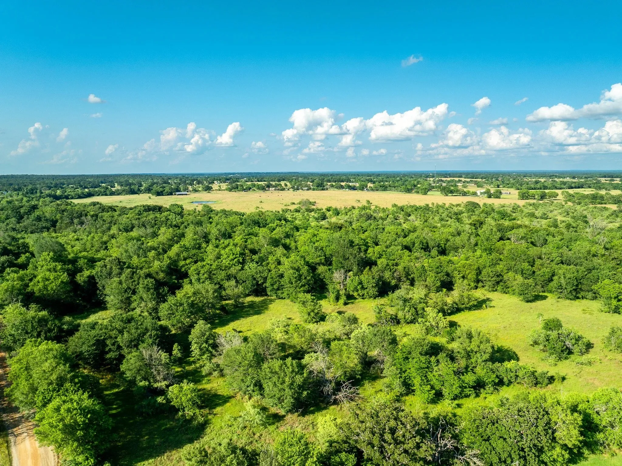 Unimproved Land For Sale in Madison (TX) County , na Malone, Midway, Texas 75852, 0, 0, Garage spaces, 0 Sqft, built in 0, Price $975,000, mls#21281089, Real Estate Agent in Midway, Homes For Sale in Madison (TX) county, Homes For Sale in Midway, Realtor in Midway Texas, Real Estate Brokerage Independent Realty Texas, Luminita Cordes Realtor