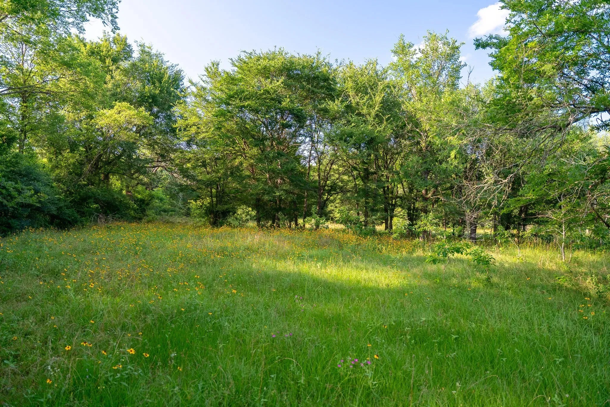 Unimproved Land For Sale in Madison (TX) County , na Malone, Midway, Texas 75852, 0, 0, Garage spaces, 0 Sqft, built in 0, Price $975,000, mls#21281089, Real Estate Agent in Midway, Homes For Sale in Madison (TX) county, Homes For Sale in Midway, Realtor in Midway Texas, Real Estate Brokerage Independent Realty Texas, Luminita Cordes Realtor