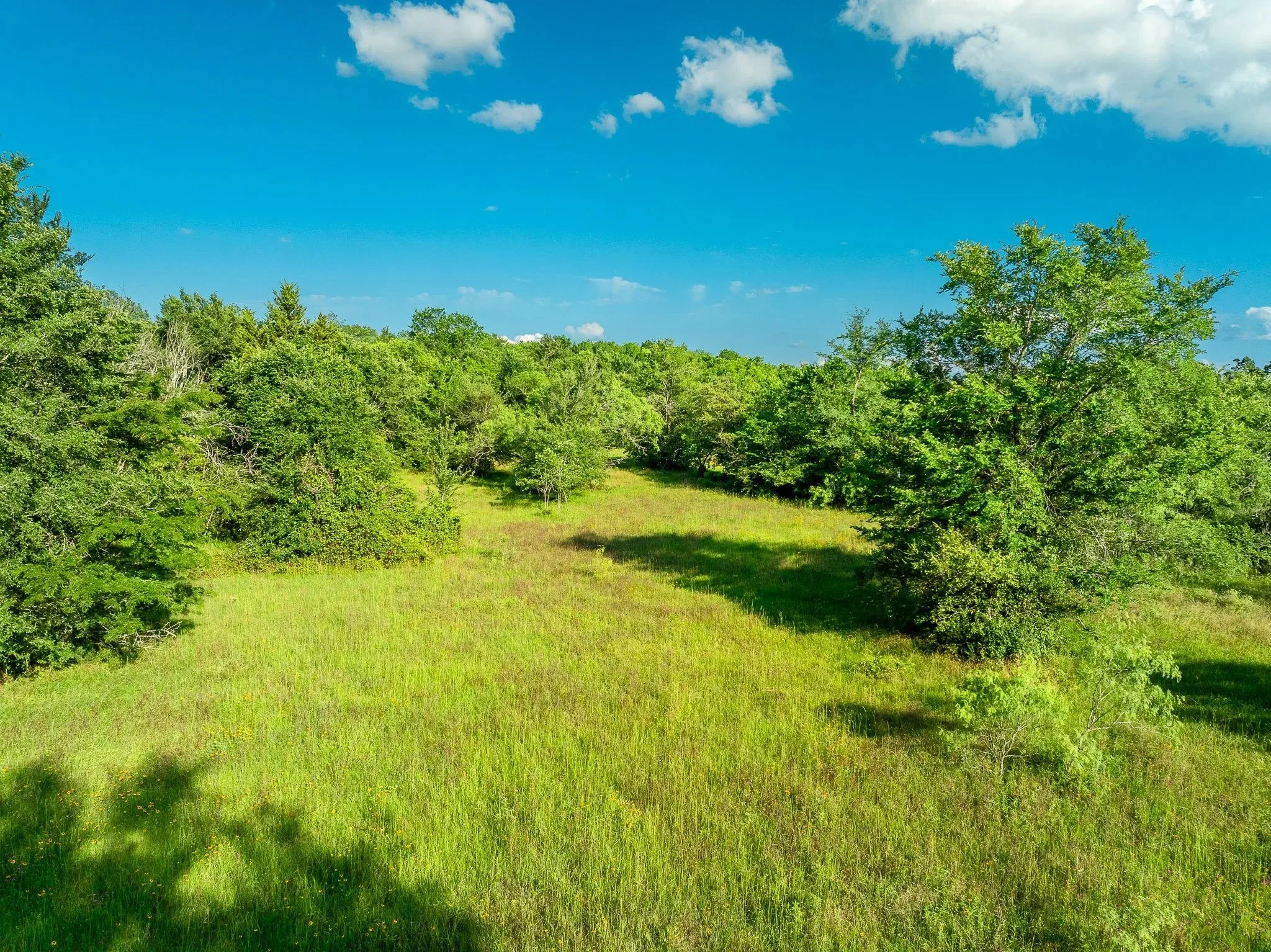Unimproved Land For Sale in Madison (TX) County , na Malone, Midway, Texas 75852, 0, 0, Garage spaces, 0 Sqft, built in 0, Price $975,000, mls#21281089, Real Estate Agent in Midway, Homes For Sale in Madison (TX) county, Homes For Sale in Midway, Realtor in Midway Texas, Real Estate Brokerage Independent Realty Texas, Luminita Cordes Realtor