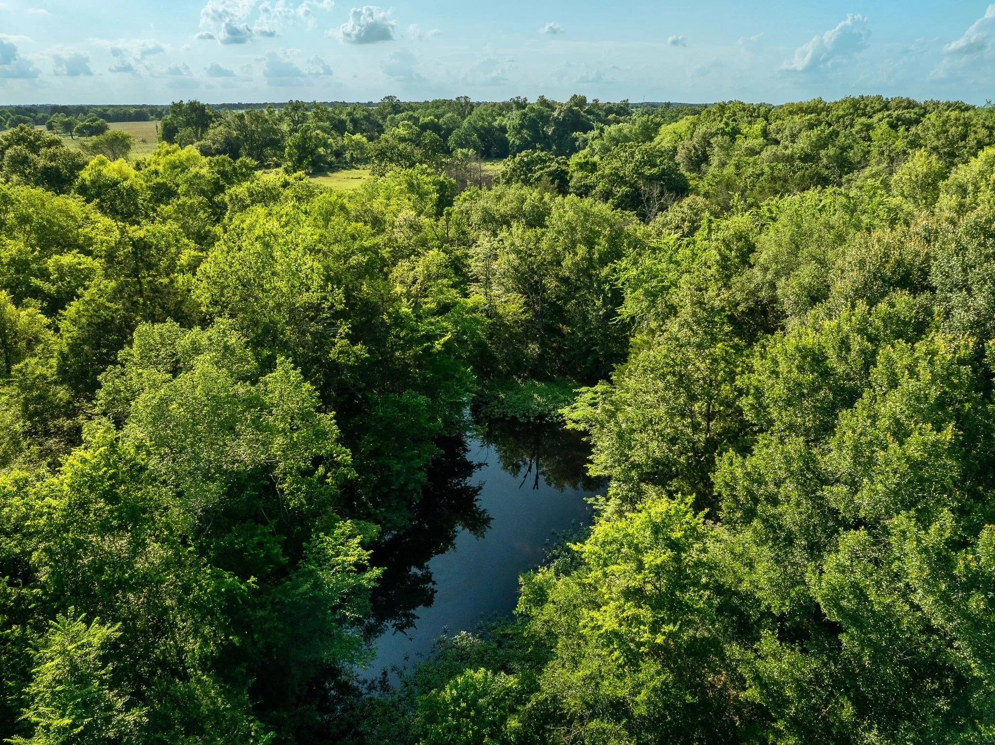 Unimproved Land For Sale in Madison (TX) County , na Malone, Midway, Texas 75852, 0, 0, Garage spaces, 0 Sqft, built in 0, Price $975,000, mls#21281089, Real Estate Agent in Midway, Homes For Sale in Madison (TX) county, Homes For Sale in Midway, Realtor in Midway Texas, Real Estate Brokerage Independent Realty Texas, Luminita Cordes Realtor