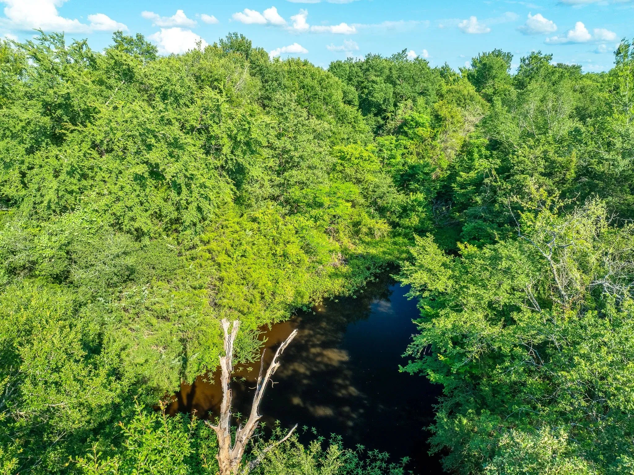 Unimproved Land For Sale in Madison (TX) County , na Malone, Midway, Texas 75852, 0, 0, Garage spaces, 0 Sqft, built in 0, Price $975,000, mls#21281089, Real Estate Agent in Midway, Homes For Sale in Madison (TX) county, Homes For Sale in Midway, Realtor in Midway Texas, Real Estate Brokerage Independent Realty Texas, Luminita Cordes Realtor