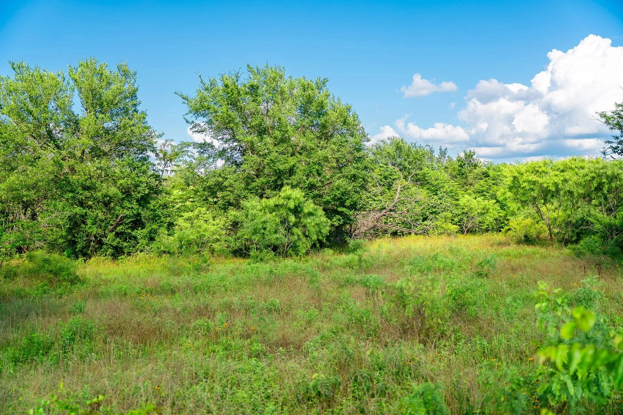 Unimproved Land For Sale in Madison (TX) County , na Malone, Midway, Texas 75852, 0, 0, Garage spaces, 0 Sqft, built in 0, Price $975,000, mls#21281089, Real Estate Agent in Midway, Homes For Sale in Madison (TX) county, Homes For Sale in Midway, Realtor in Midway Texas, Real Estate Brokerage Independent Realty Texas, Luminita Cordes Realtor