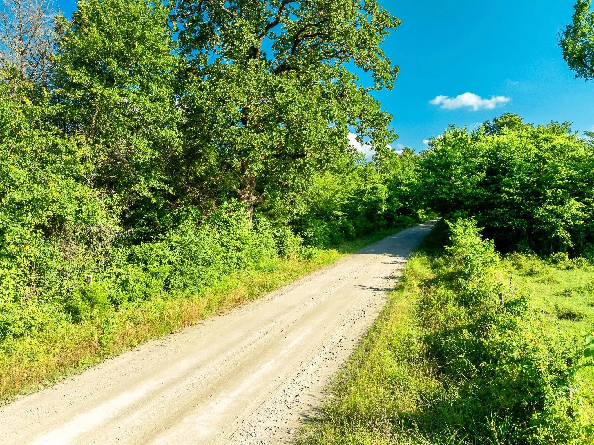 Unimproved Land For Sale in Madison (TX) County , na Malone, Midway, Texas 75852, 0, 0, Garage spaces, 0 Sqft, built in 0, Price $975,000, mls#21281089, Real Estate Agent in Midway, Homes For Sale in Madison (TX) county, Homes For Sale in Midway, Realtor in Midway Texas, Real Estate Brokerage Independent Realty Texas, Luminita Cordes Realtor