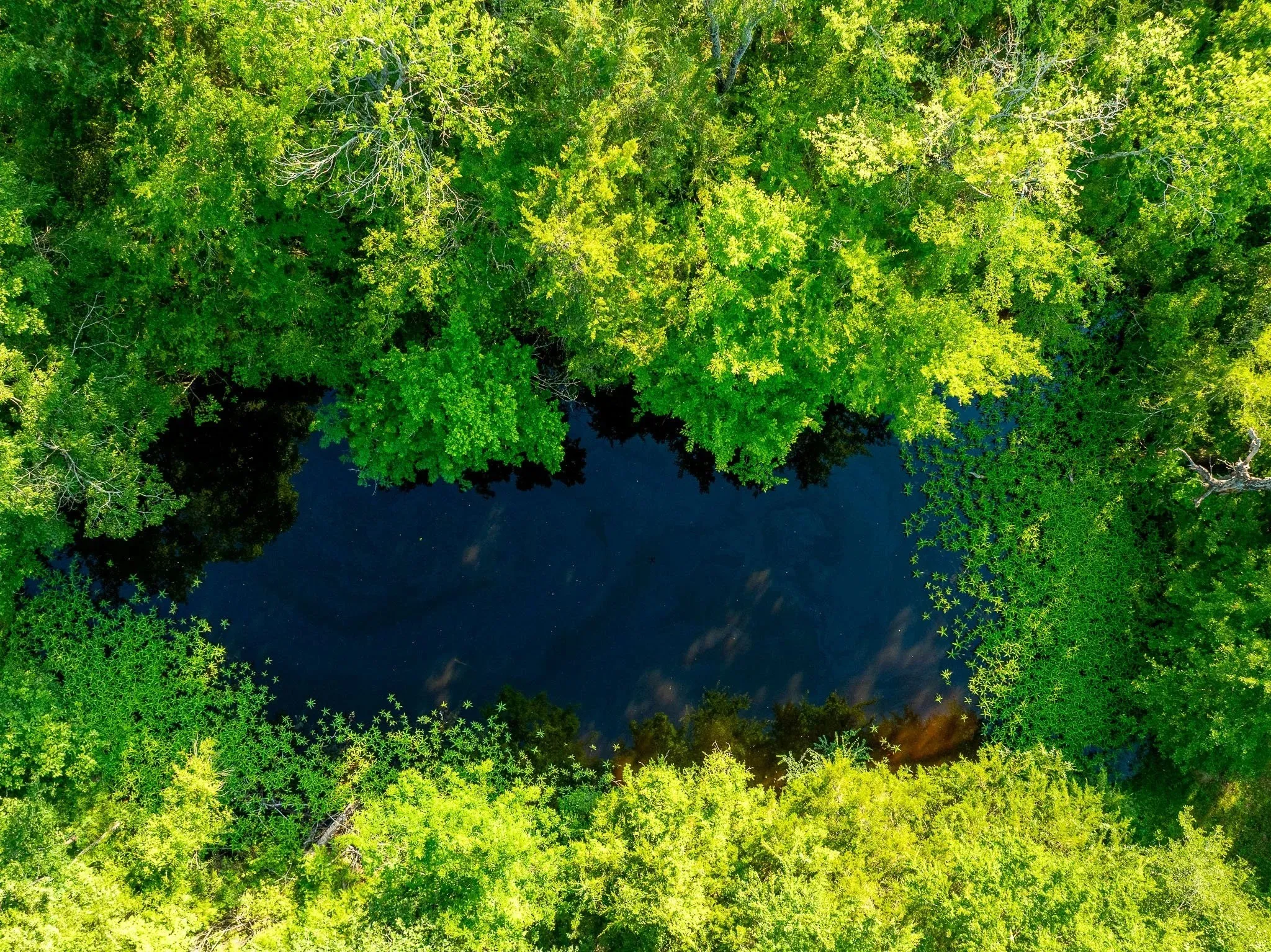 Unimproved Land For Sale in Madison (TX) County , na Malone, Midway, Texas 75852, 0, 0, Garage spaces, 0 Sqft, built in 0, Price $975,000, mls#21281089, Real Estate Agent in Midway, Homes For Sale in Madison (TX) county, Homes For Sale in Midway, Realtor in Midway Texas, Real Estate Brokerage Independent Realty Texas, Luminita Cordes Realtor