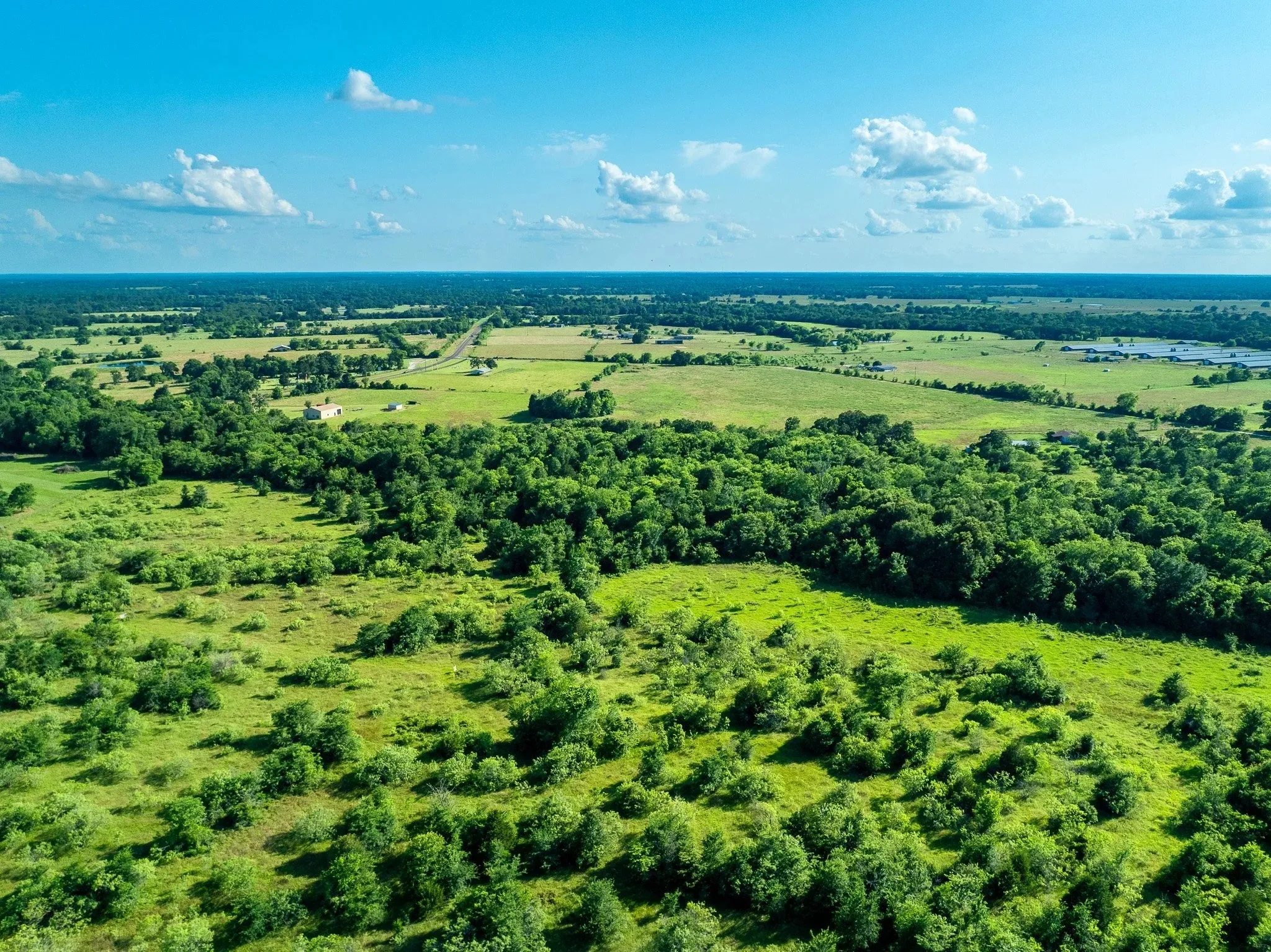 Unimproved Land For Sale in Madison (TX) County , na Malone, Midway, Texas 75852, 0, 0, Garage spaces, 0 Sqft, built in 0, Price $975,000, mls#21281089, Real Estate Agent in Midway, Homes For Sale in Madison (TX) county, Homes For Sale in Midway, Realtor in Midway Texas, Real Estate Brokerage Independent Realty Texas, Luminita Cordes Realtor
