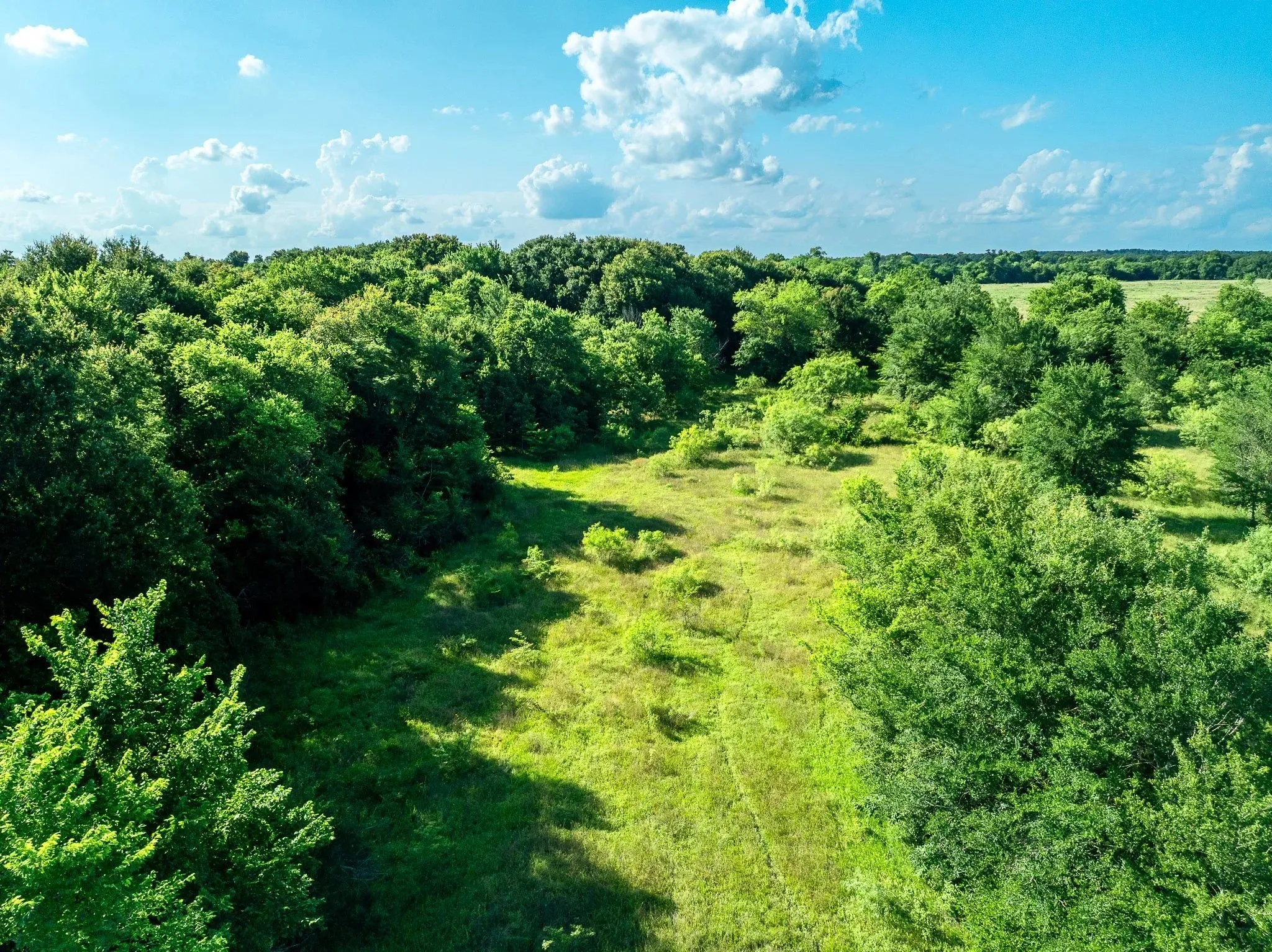 Unimproved Land For Sale in Madison (TX) County , na Malone, Midway, Texas 75852, 0, 0, Garage spaces, 0 Sqft, built in 0, Price $975,000, mls#21281089, Real Estate Agent in Midway, Homes For Sale in Madison (TX) county, Homes For Sale in Midway, Realtor in Midway Texas, Real Estate Brokerage Independent Realty Texas, Luminita Cordes Realtor