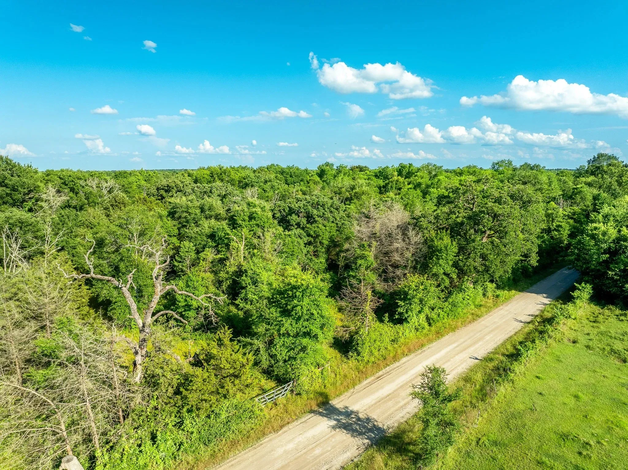 Unimproved Land For Sale in Madison (TX) County , na Malone, Midway, Texas 75852, 0, 0, Garage spaces, 0 Sqft, built in 0, Price $975,000, mls#21281089, Real Estate Agent in Midway, Homes For Sale in Madison (TX) county, Homes For Sale in Midway, Realtor in Midway Texas, Real Estate Brokerage Independent Realty Texas, Luminita Cordes Realtor