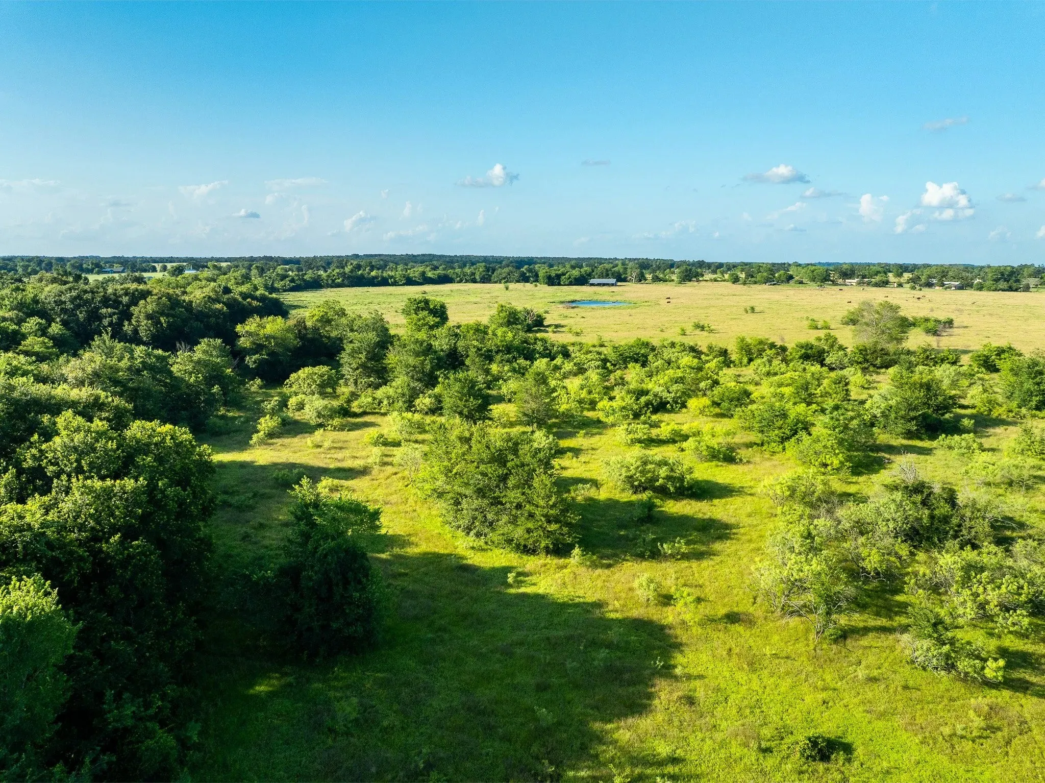 Unimproved Land For Sale in Madison (TX) County , na Malone, Midway, Texas 75852, 0, 0, Garage spaces, 0 Sqft, built in 0, Price $975,000, mls#21281089, Real Estate Agent in Midway, Homes For Sale in Madison (TX) county, Homes For Sale in Midway, Realtor in Midway Texas, Real Estate Brokerage Independent Realty Texas, Luminita Cordes Realtor