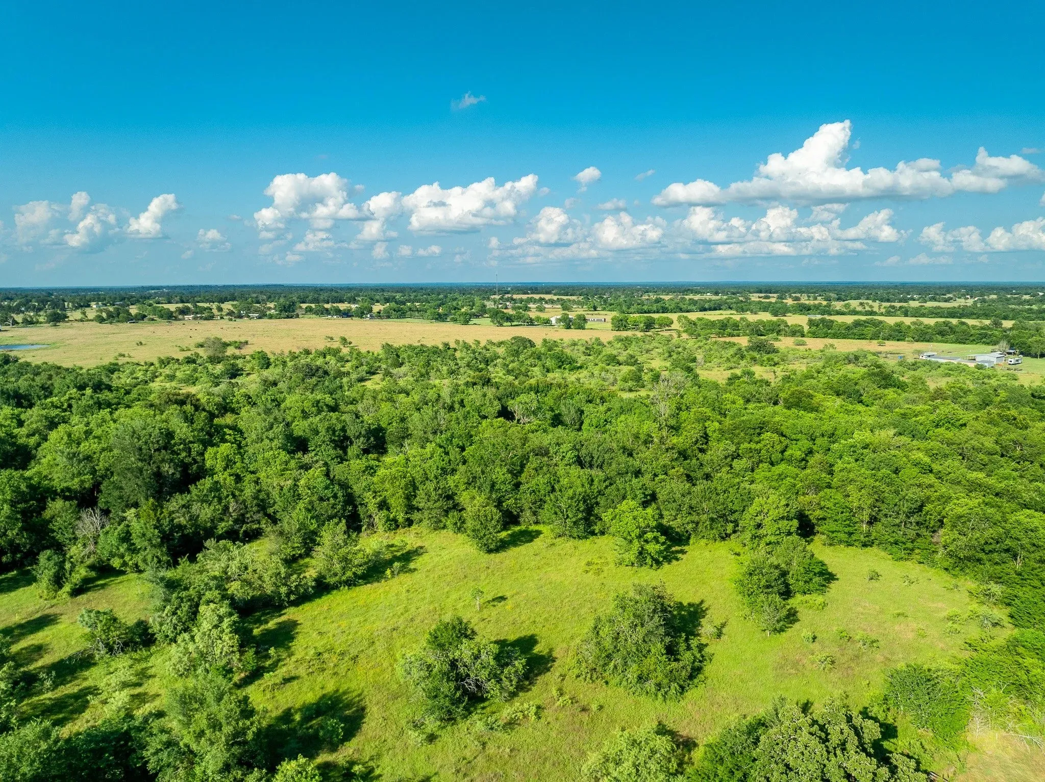 Unimproved Land For Sale in Madison (TX) County , na Malone, Midway, Texas 75852, 0, 0, Garage spaces, 0 Sqft, built in 0, Price $975,000, mls#21281089, Real Estate Agent in Midway, Homes For Sale in Madison (TX) county, Homes For Sale in Midway, Realtor in Midway Texas, Real Estate Brokerage Independent Realty Texas, Luminita Cordes Realtor