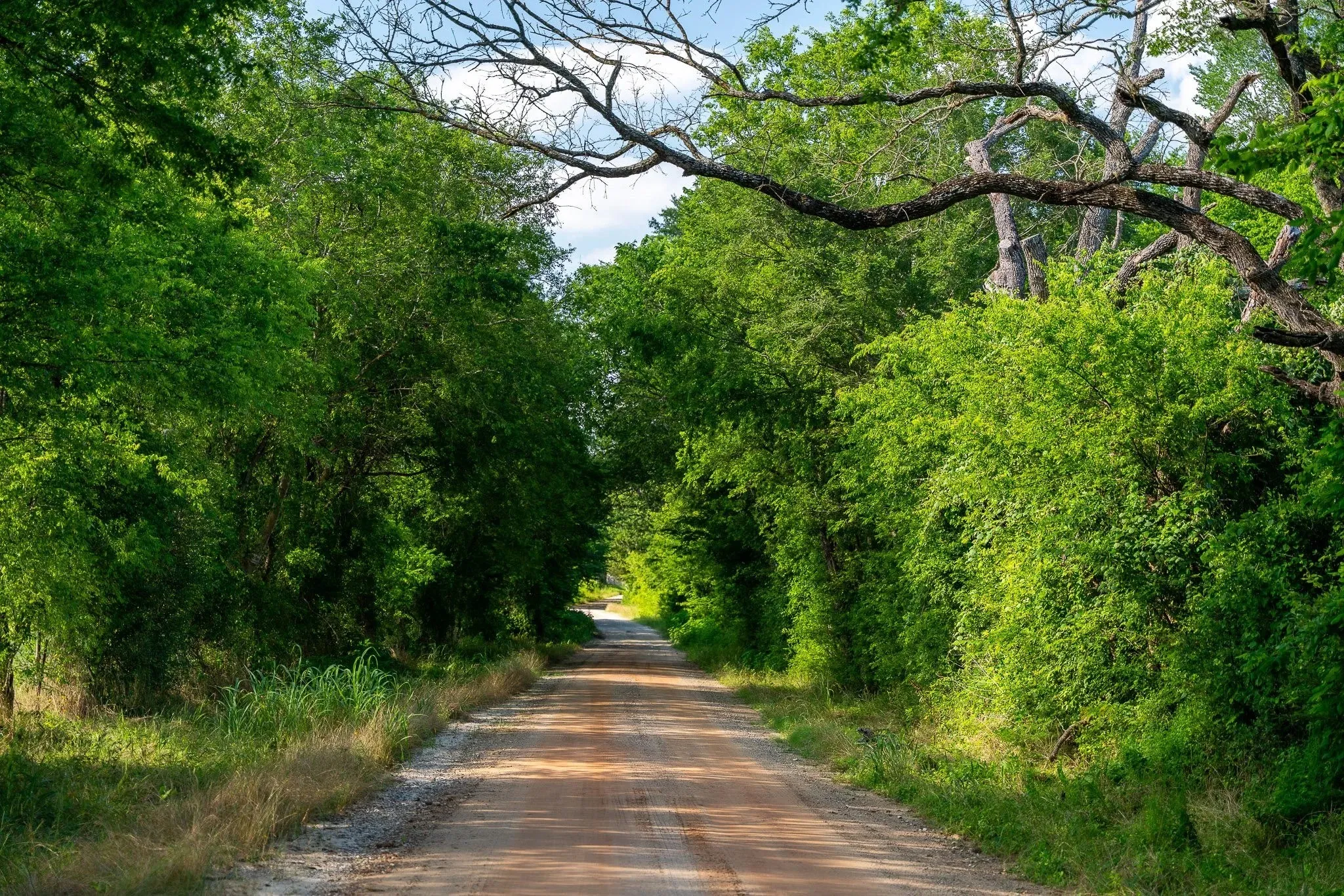 Unimproved Land For Sale in Madison (TX) County , na Malone, Midway, Texas 75852, 0, 0, Garage spaces, 0 Sqft, built in 0, Price $975,000, mls#21281089, Real Estate Agent in Midway, Homes For Sale in Madison (TX) county, Homes For Sale in Midway, Realtor in Midway Texas, Real Estate Brokerage Independent Realty Texas, Luminita Cordes Realtor