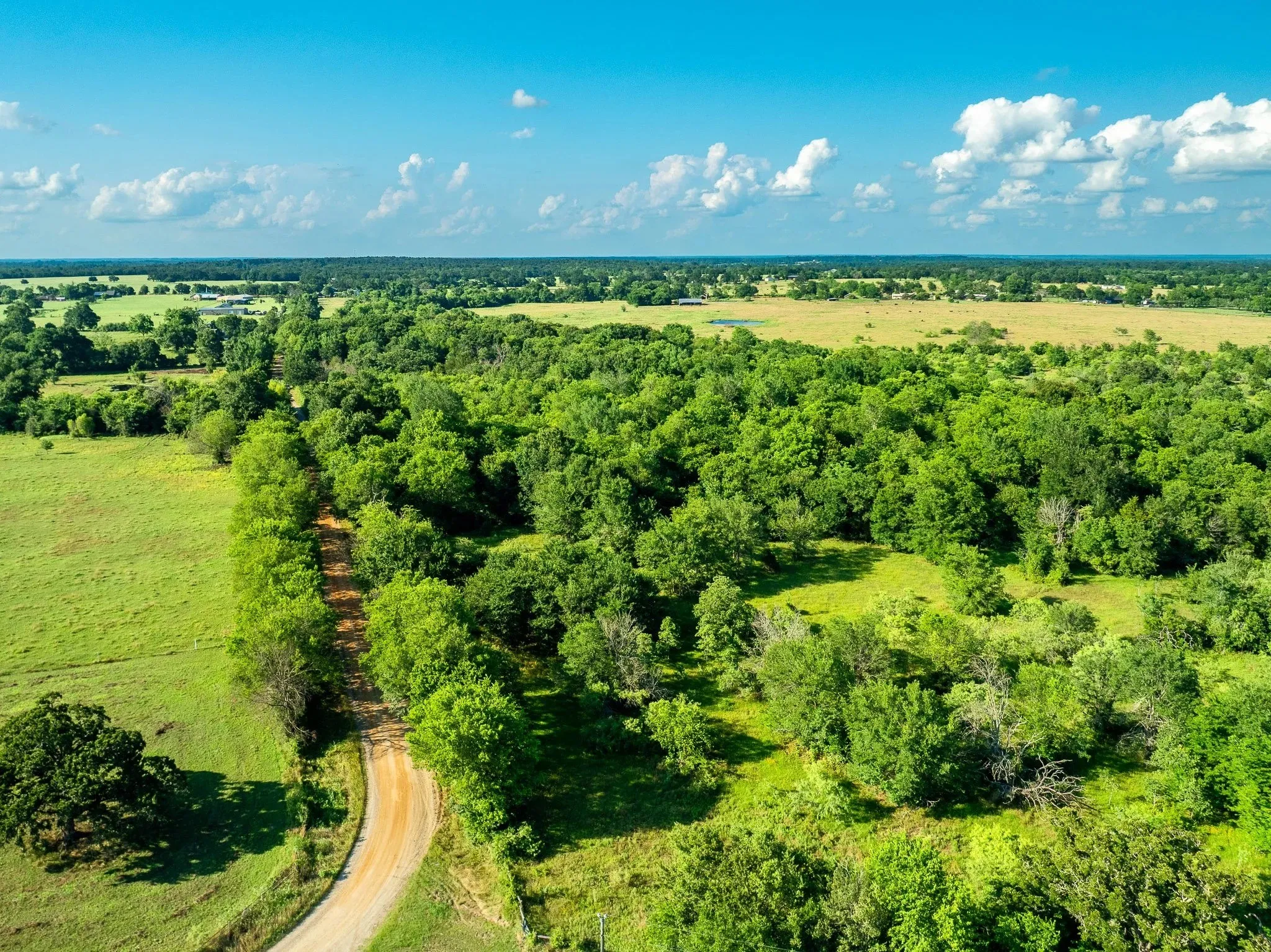 Unimproved Land For Sale in Madison (TX) County , na Malone, Midway, Texas 75852, 0, 0, Garage spaces, 0 Sqft, built in 0, Price $975,000, mls#21281089, Real Estate Agent in Midway, Homes For Sale in Madison (TX) county, Homes For Sale in Midway, Realtor in Midway Texas, Real Estate Brokerage Independent Realty Texas, Luminita Cordes Realtor