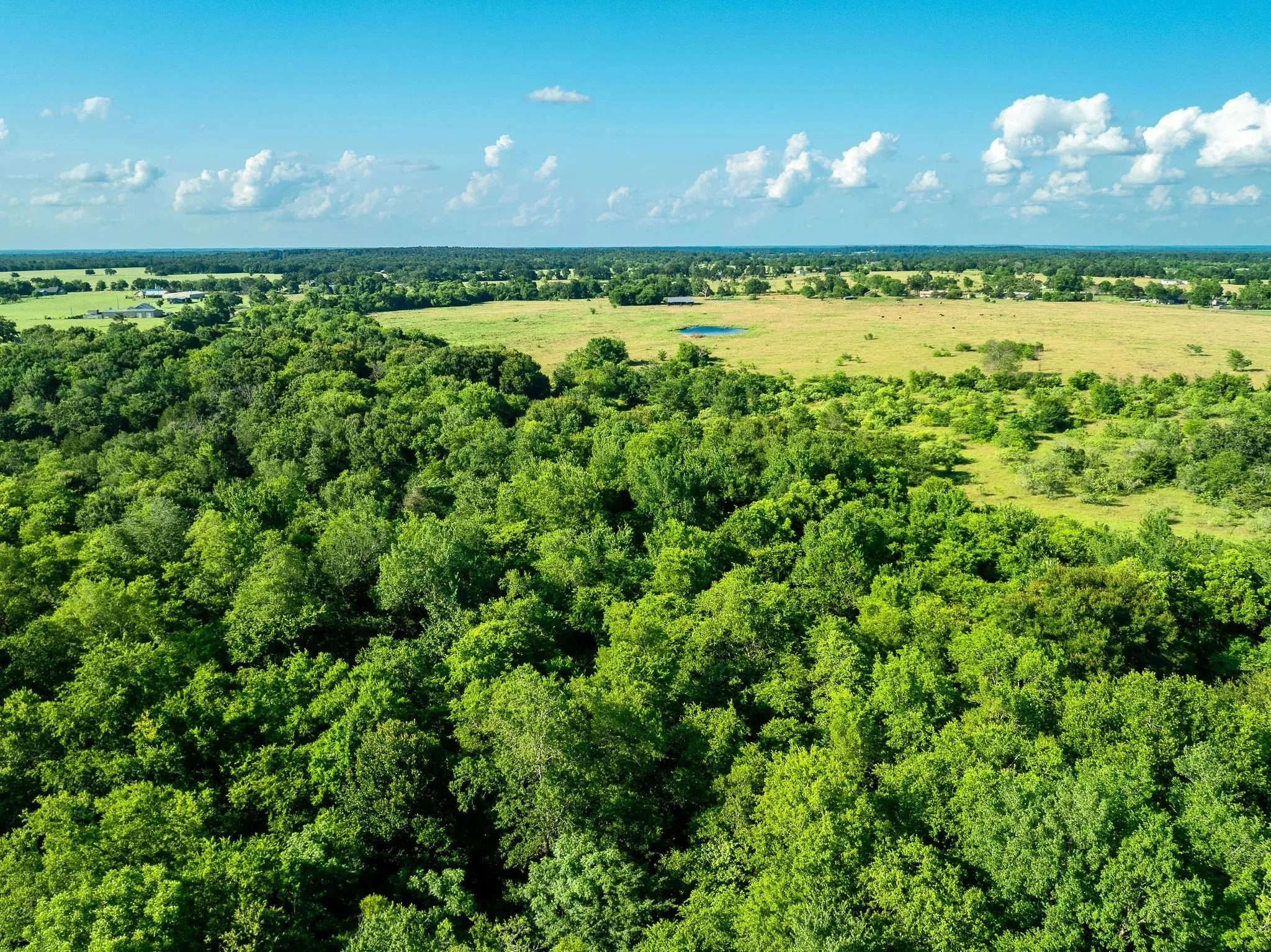 Unimproved Land For Sale in Madison (TX) County , na Malone, Midway, Texas 75852, 0, 0, Garage spaces, 0 Sqft, built in 0, Price $975,000, mls#21281089, Real Estate Agent in Midway, Homes For Sale in Madison (TX) county, Homes For Sale in Midway, Realtor in Midway Texas, Real Estate Brokerage Independent Realty Texas, Luminita Cordes Realtor
