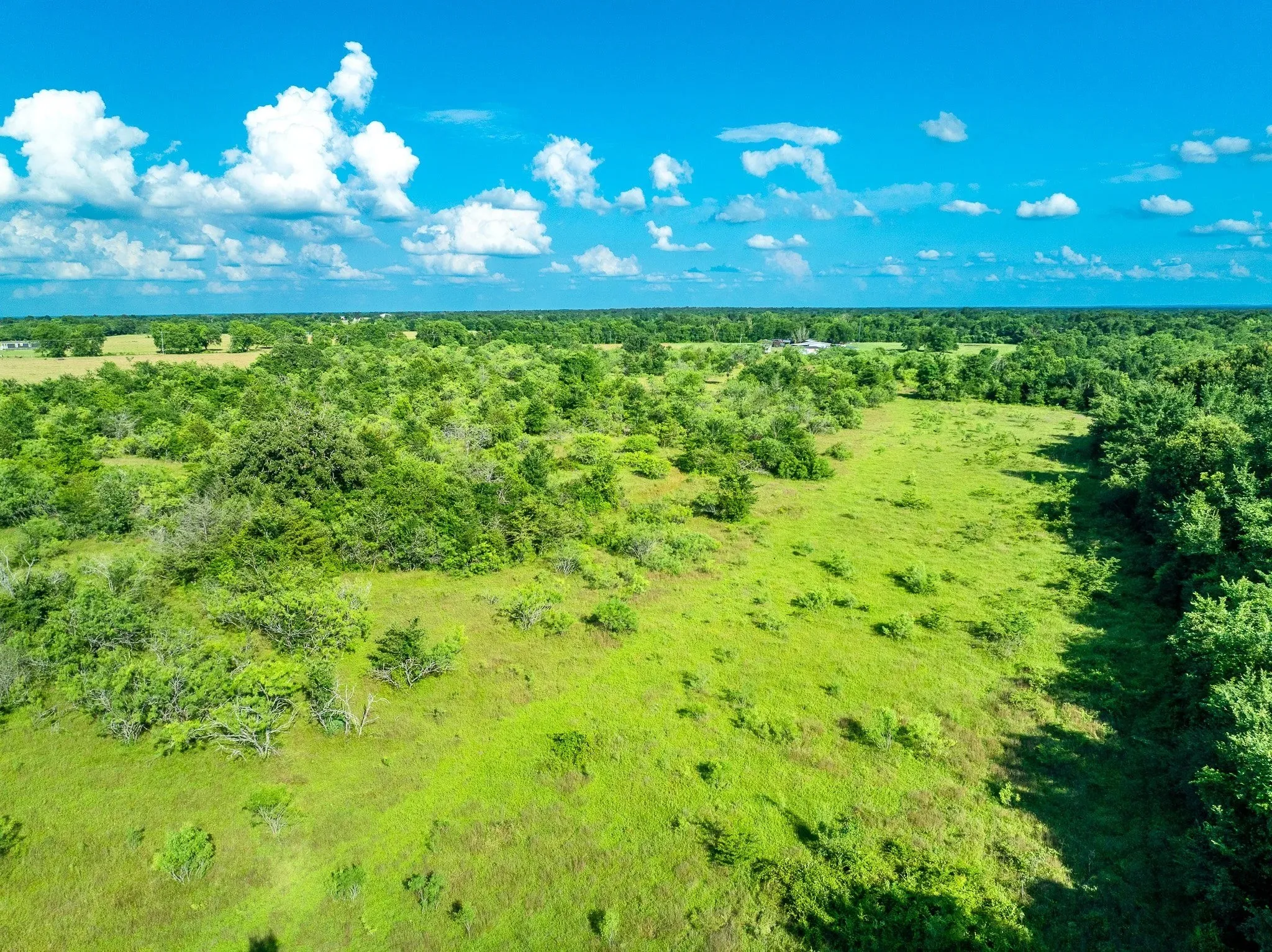 Unimproved Land For Sale in Madison (TX) County , na Malone, Midway, Texas 75852, 0, 0, Garage spaces, 0 Sqft, built in 0, Price $975,000, mls#21281089, Real Estate Agent in Midway, Homes For Sale in Madison (TX) county, Homes For Sale in Midway, Realtor in Midway Texas, Real Estate Brokerage Independent Realty Texas, Luminita Cordes Realtor