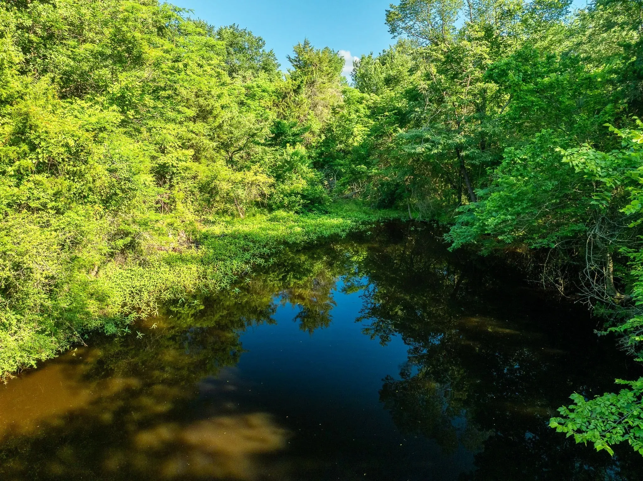 Unimproved Land For Sale in Madison (TX) County , na Malone, Midway, Texas 75852, 0, 0, Garage spaces, 0 Sqft, built in 0, Price $975,000, mls#21281089, Real Estate Agent in Midway, Homes For Sale in Madison (TX) county, Homes For Sale in Midway, Realtor in Midway Texas, Real Estate Brokerage Independent Realty Texas, Luminita Cordes Realtor