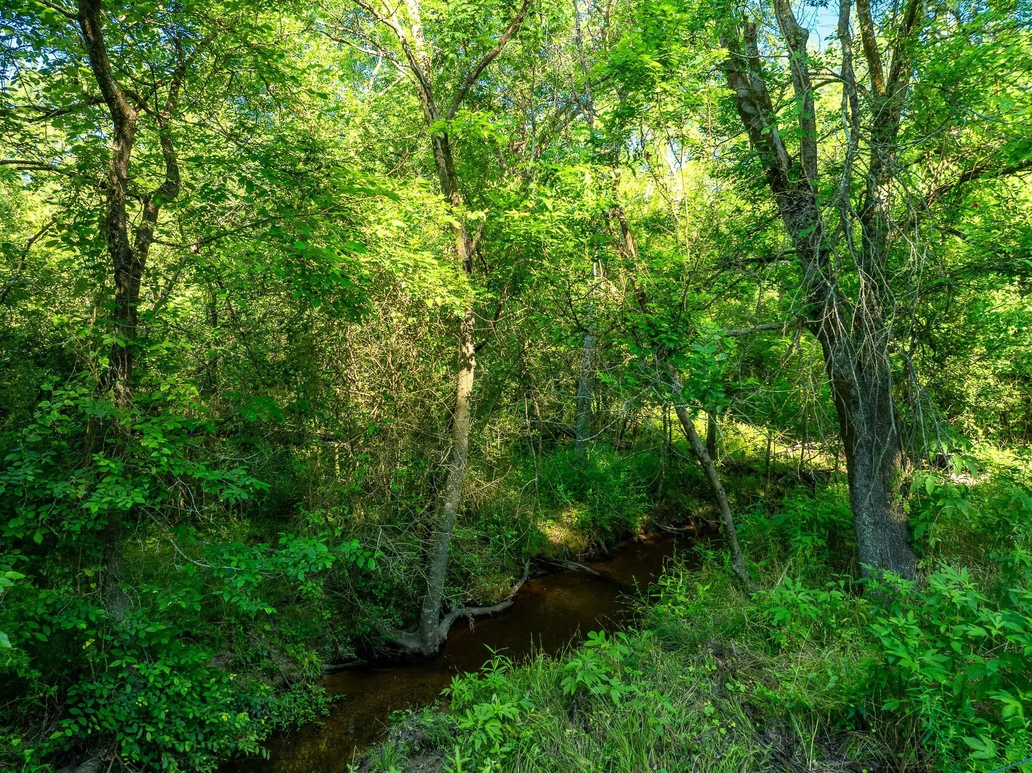 Unimproved Land For Sale in Madison (TX) County , na Malone, Midway, Texas 75852, 0, 0, Garage spaces, 0 Sqft, built in 0, Price $975,000, mls#21281089, Real Estate Agent in Midway, Homes For Sale in Madison (TX) county, Homes For Sale in Midway, Realtor in Midway Texas, Real Estate Brokerage Independent Realty Texas, Luminita Cordes Realtor