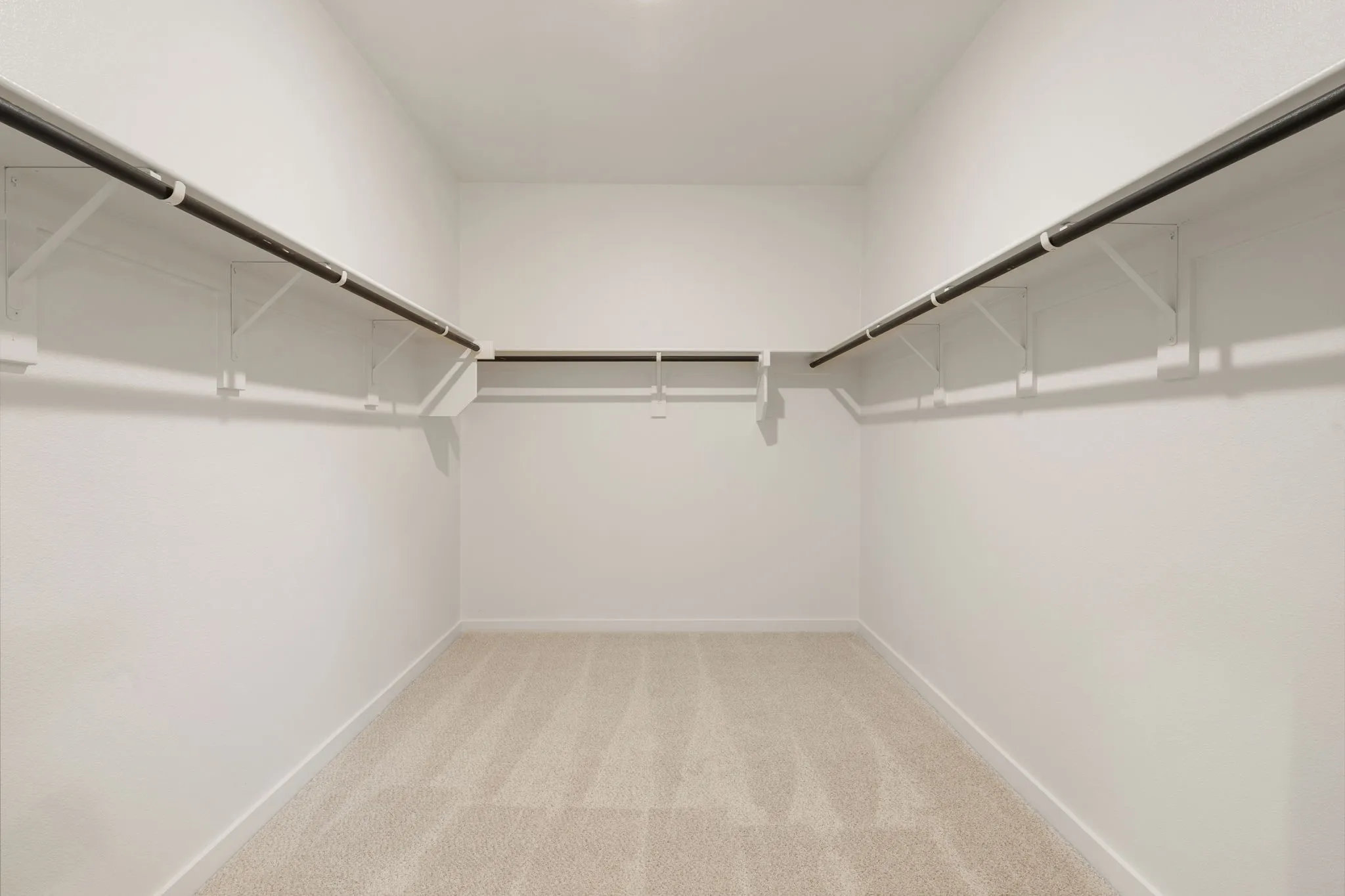 Spacious closet featuring neutral tone carpeting, white walls, and built-in shelving with black hanging rods